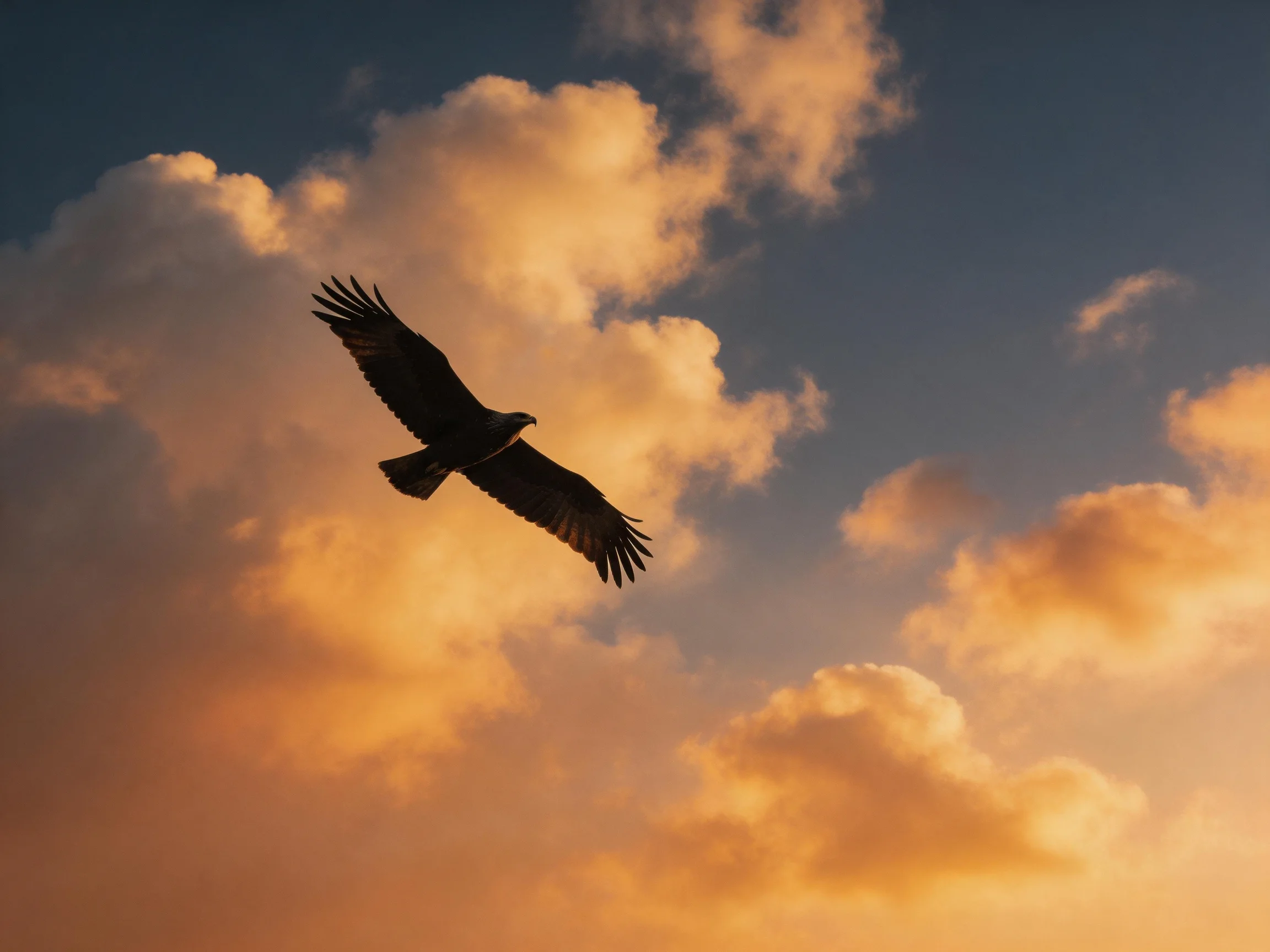 A bird glides through amber clouds against a twilight sky