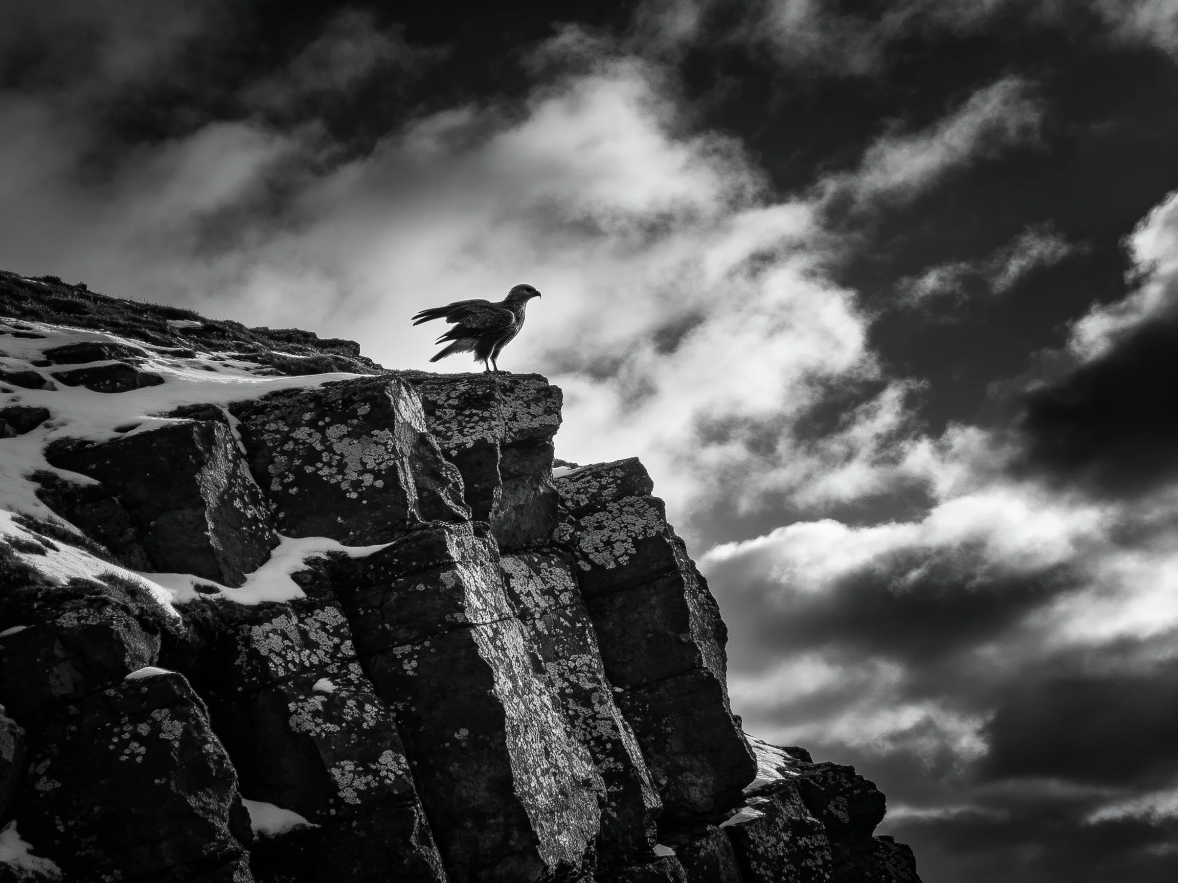 A bird stands on a snowy, lichen-covered cliff beneath stormy skies.