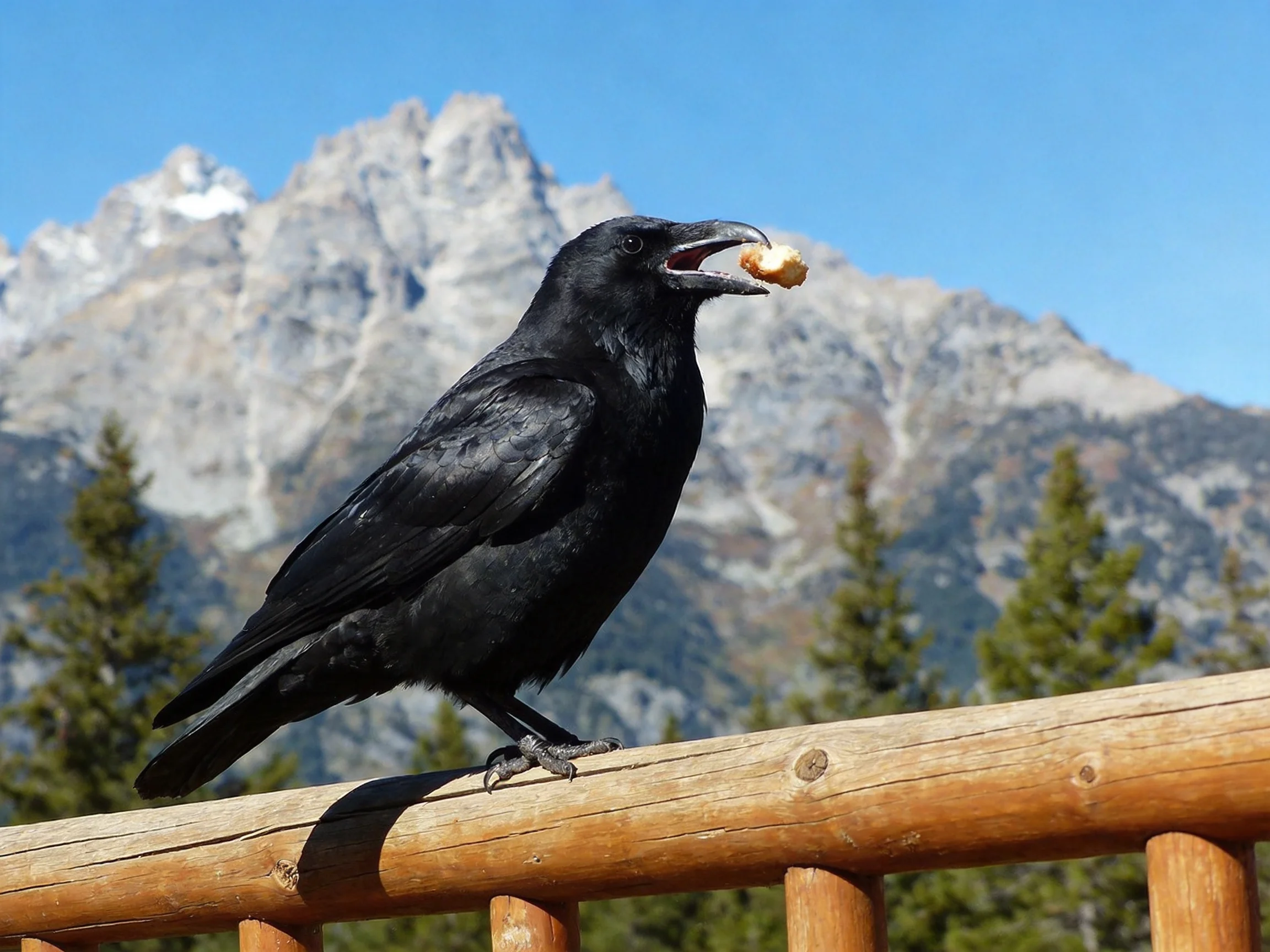 A black crow perched on a wooden railing with a snack near mountain peaks