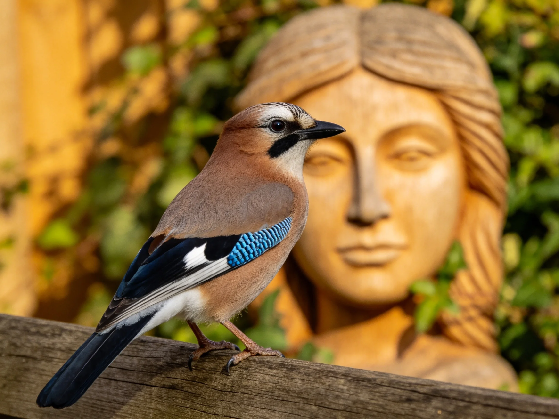 A blue-accented bird perches on wood near a golden statue amid green foliage