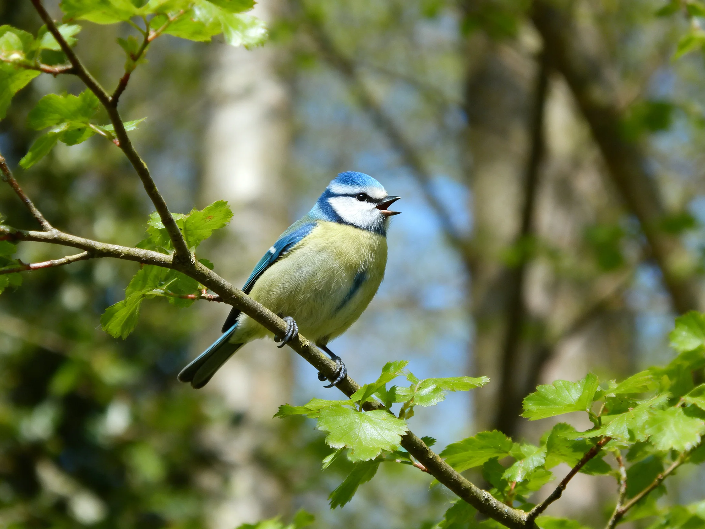 A colorful bird rests on a branch amid green foliage.