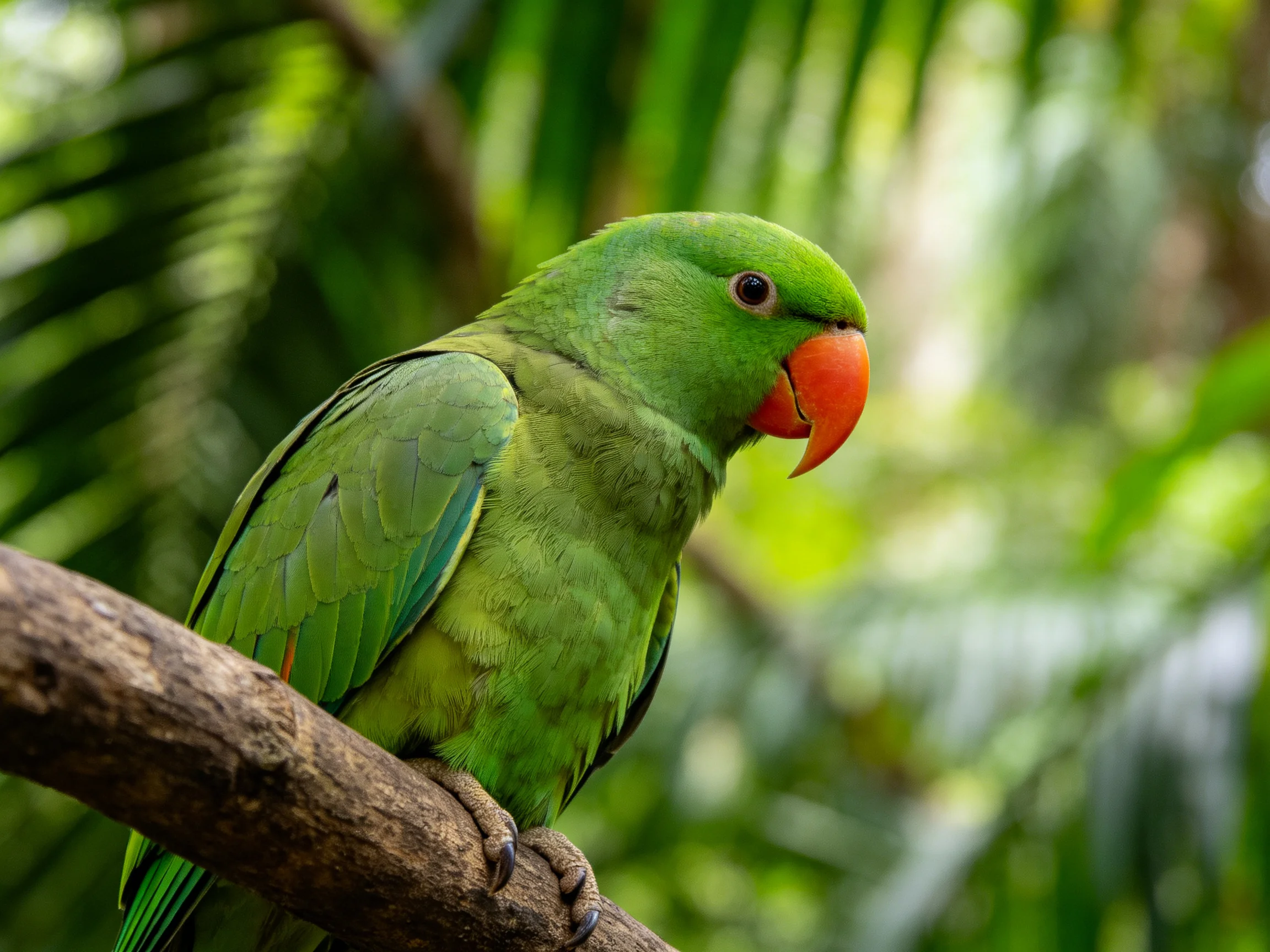 A bright green parrot with an orange beak perched on a tree branch