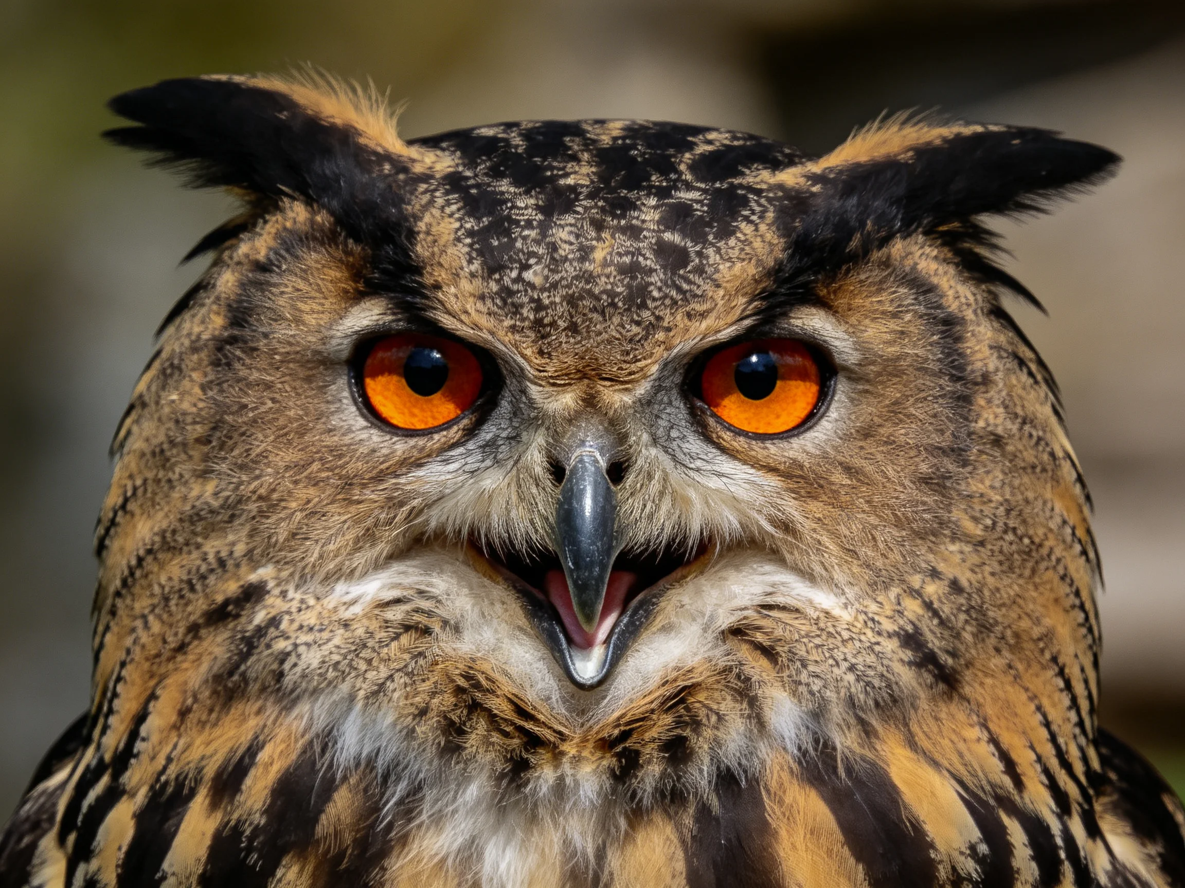 A close - up of an owl with bright orange eyes and patterned plumage