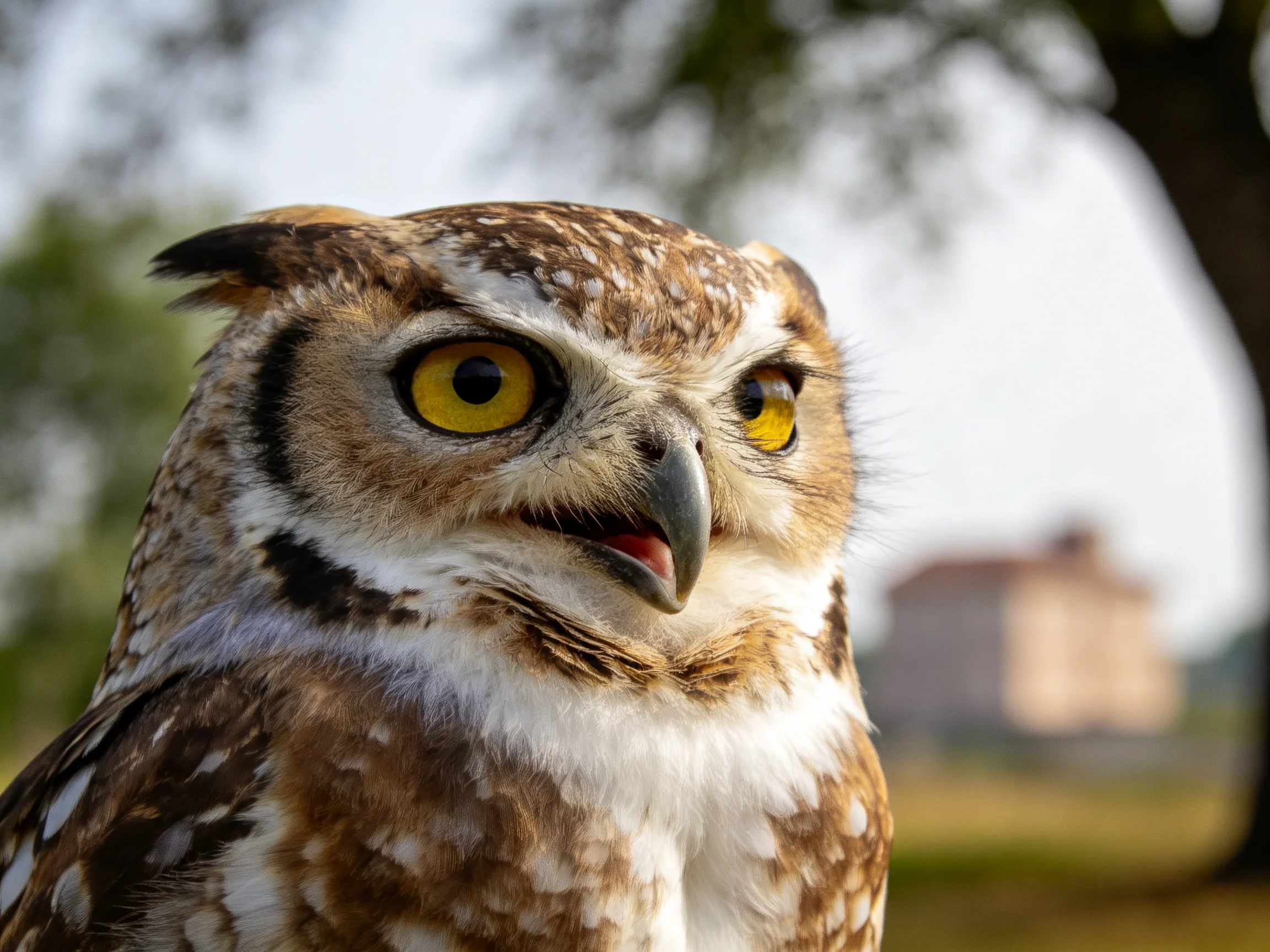 A close-up of an owl with bright yellow eyes and brown-spotted feathers