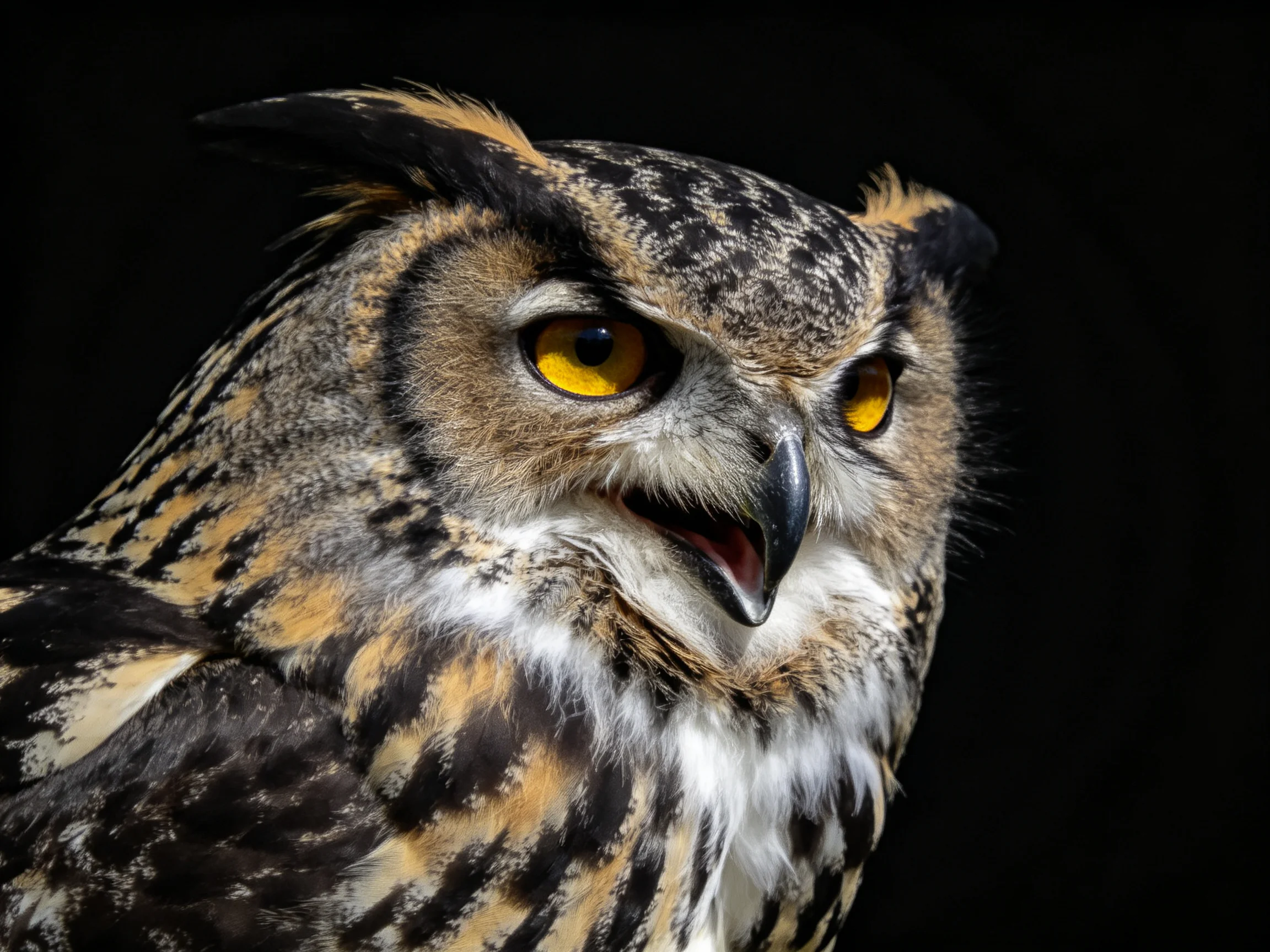A close - up of an owl with bright yellow eyes and intricate feather patterns