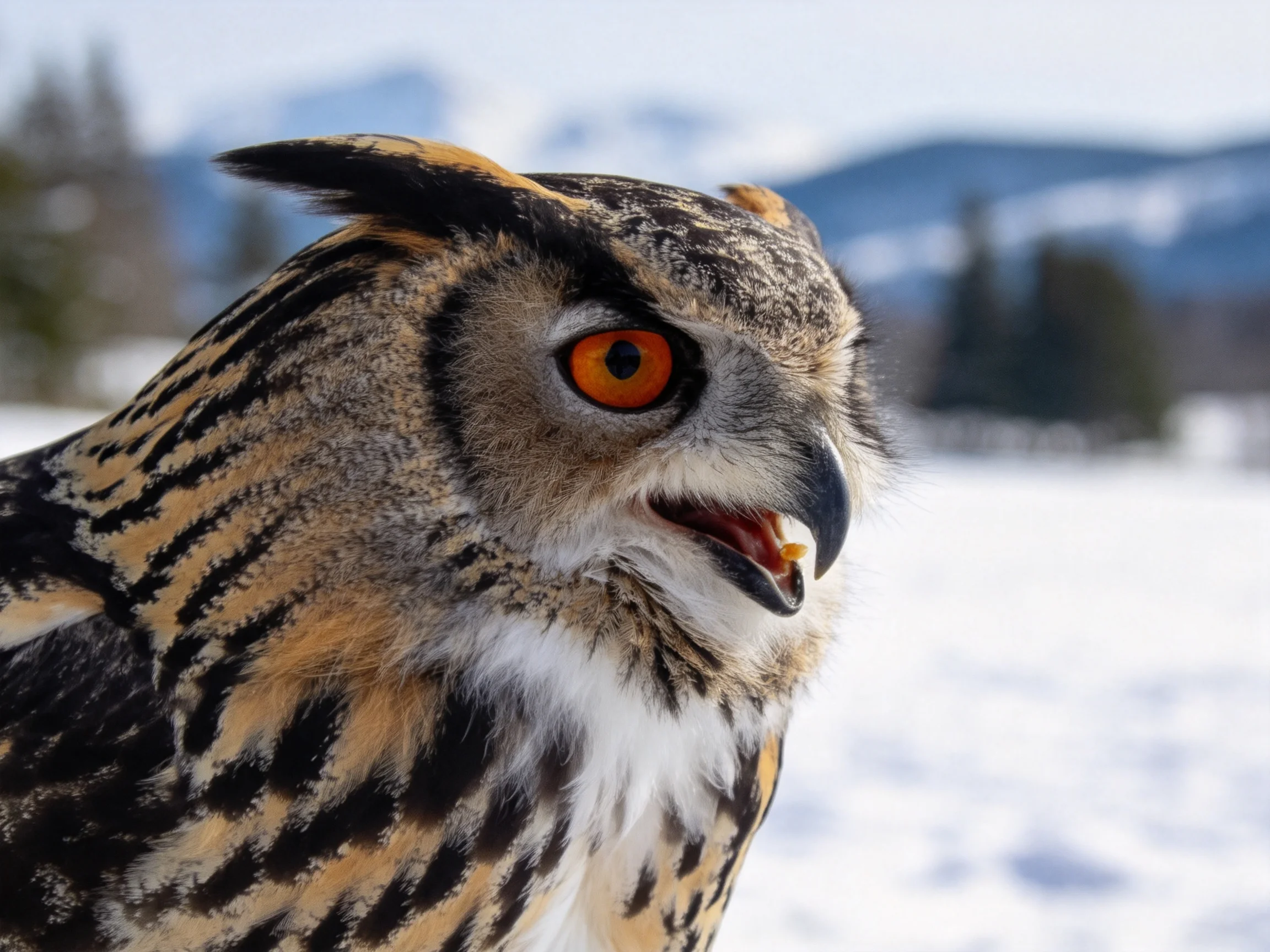 A close - up of an owl with vivid orange eyes and patterned feathers