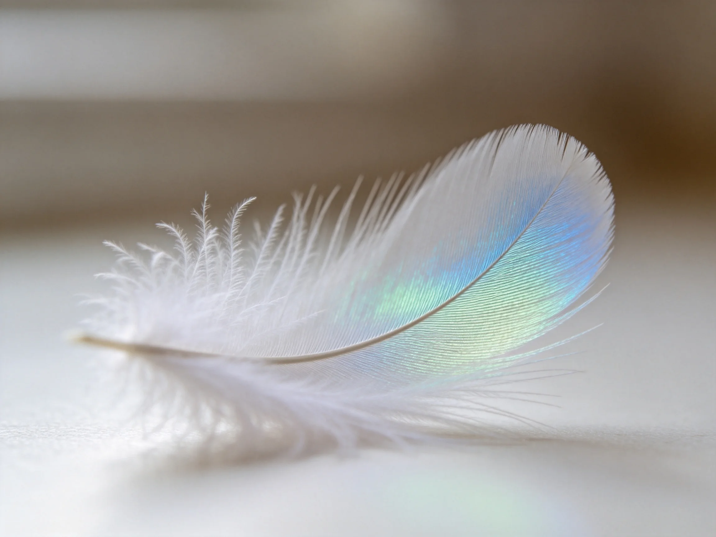 A delicate feather showcases white and iridescent blue-green shades on a smooth surface