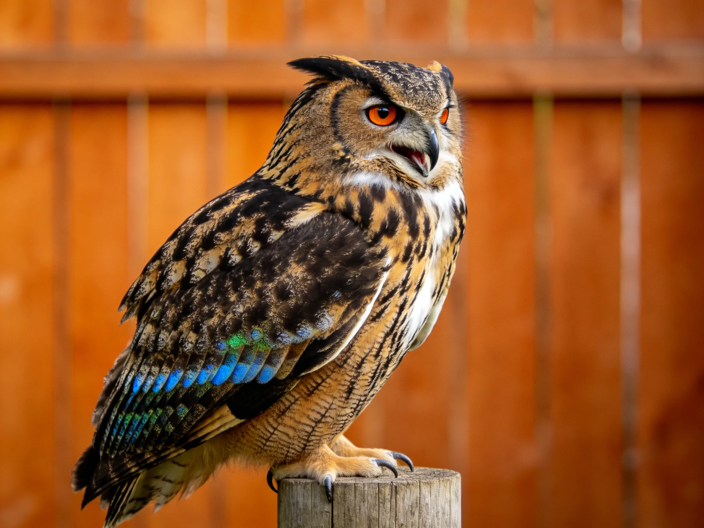A majestic owl with orange eyes perched on a wooden post