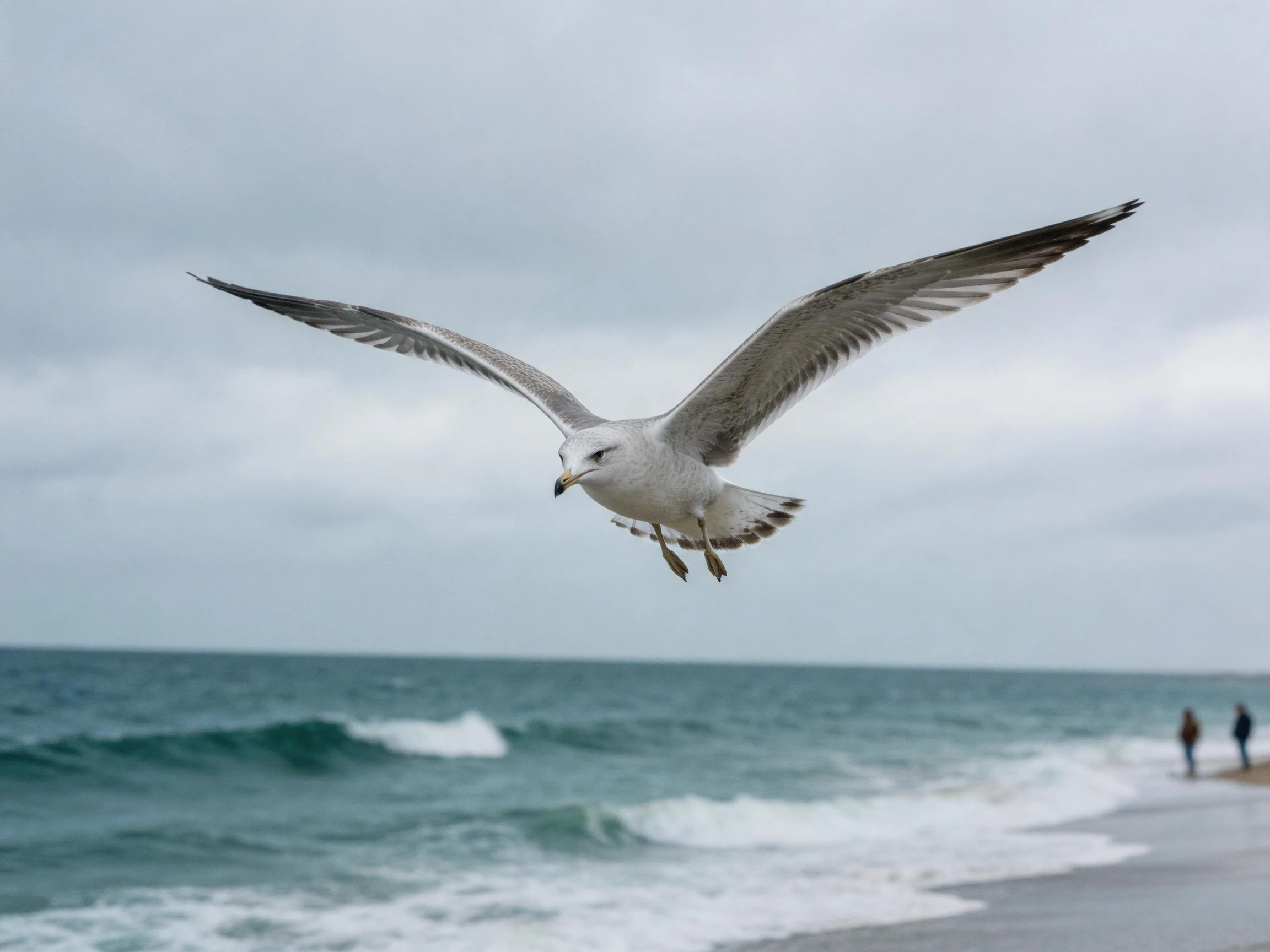 A seagull flies over a sandy beach with turquoise waves