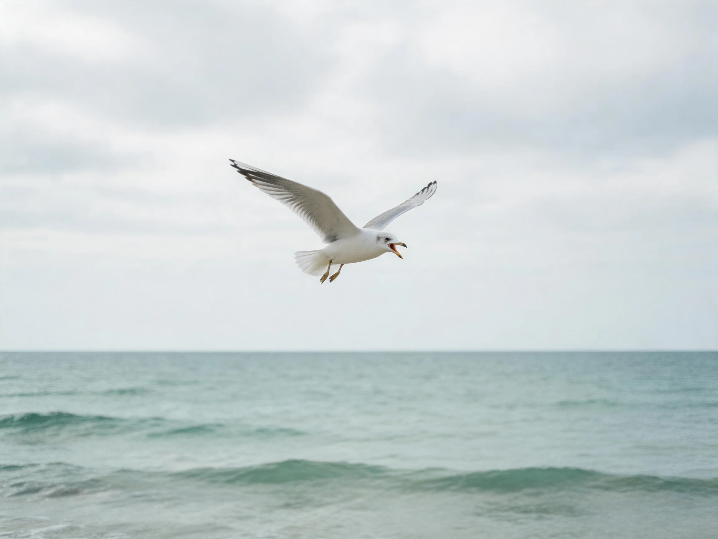 A seagull flies over calm blue-green waters under cloudy skies