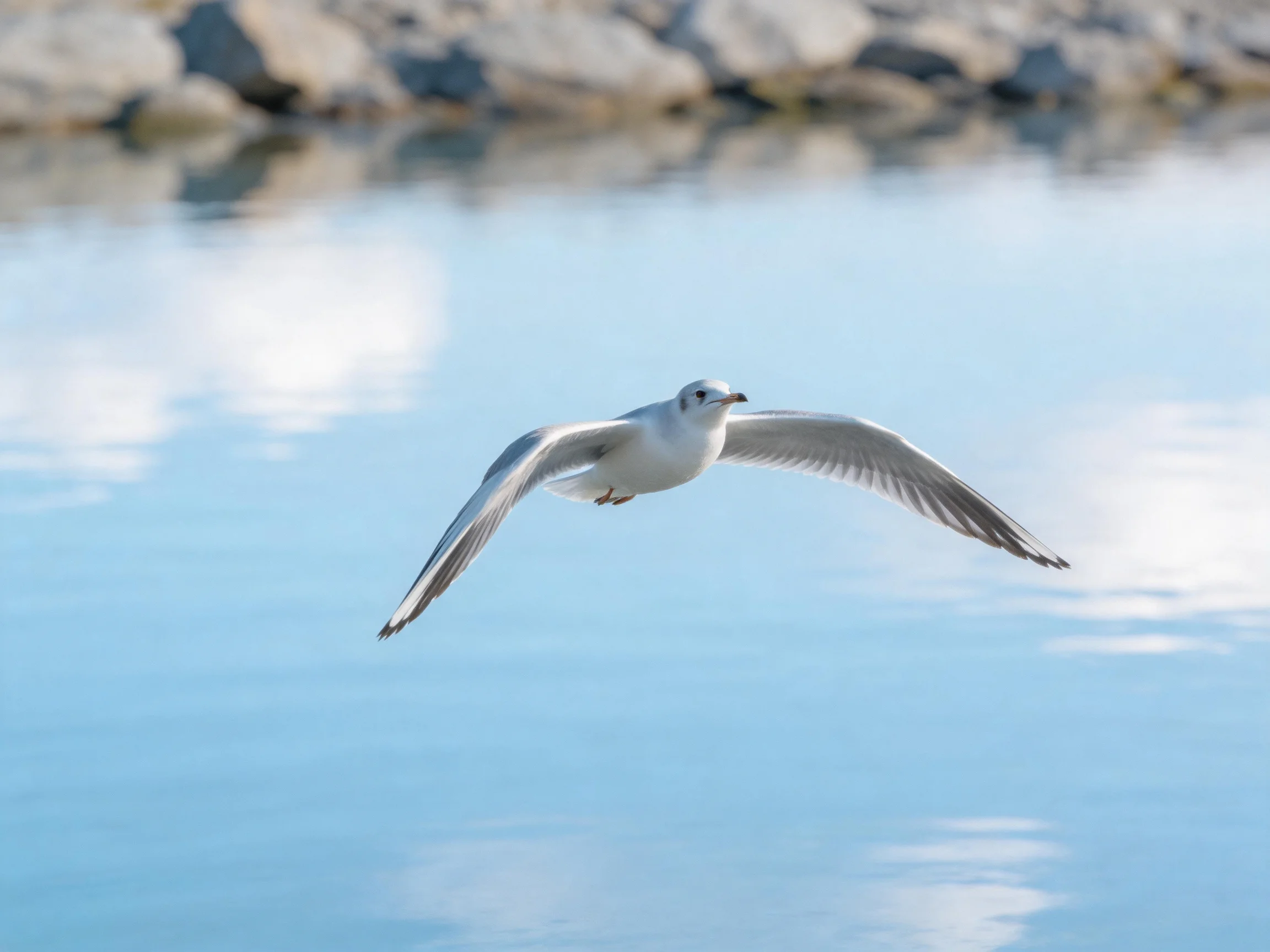 A seagull soaring over calm blue water near rocky formations