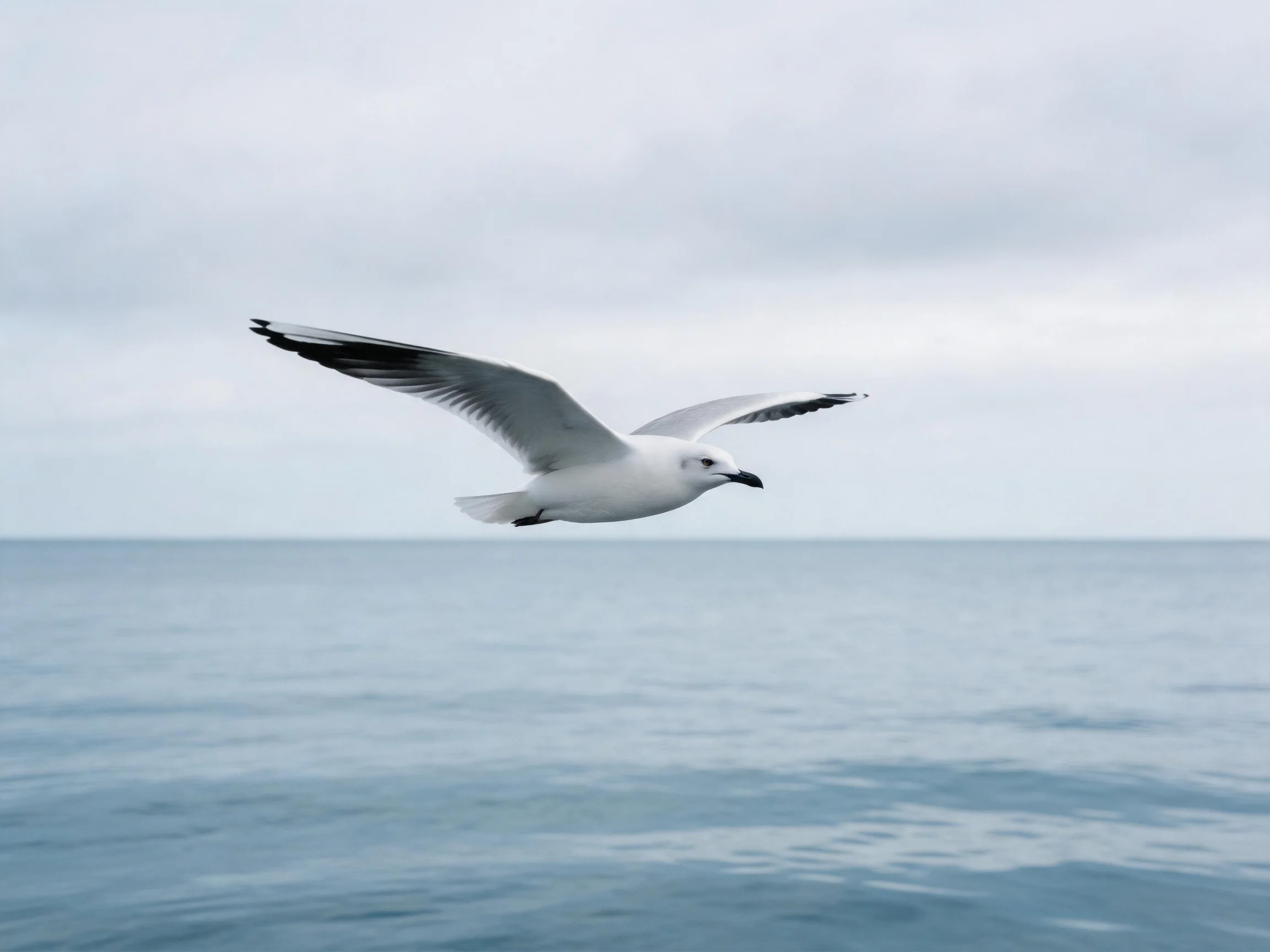 A seagull soaring over calm blue waters under a gray sky