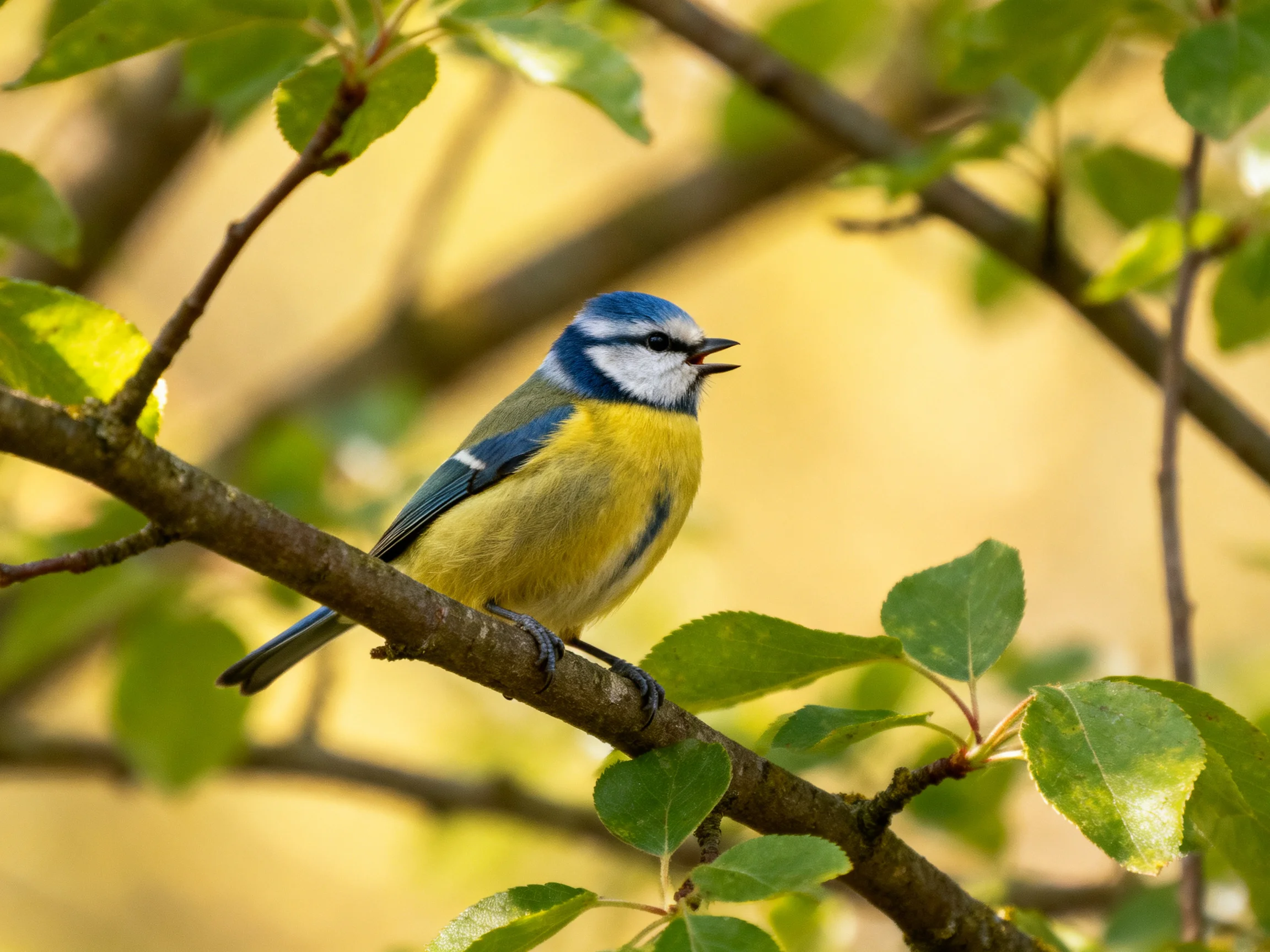 A colorful bird sits on a branch amid green foliage.