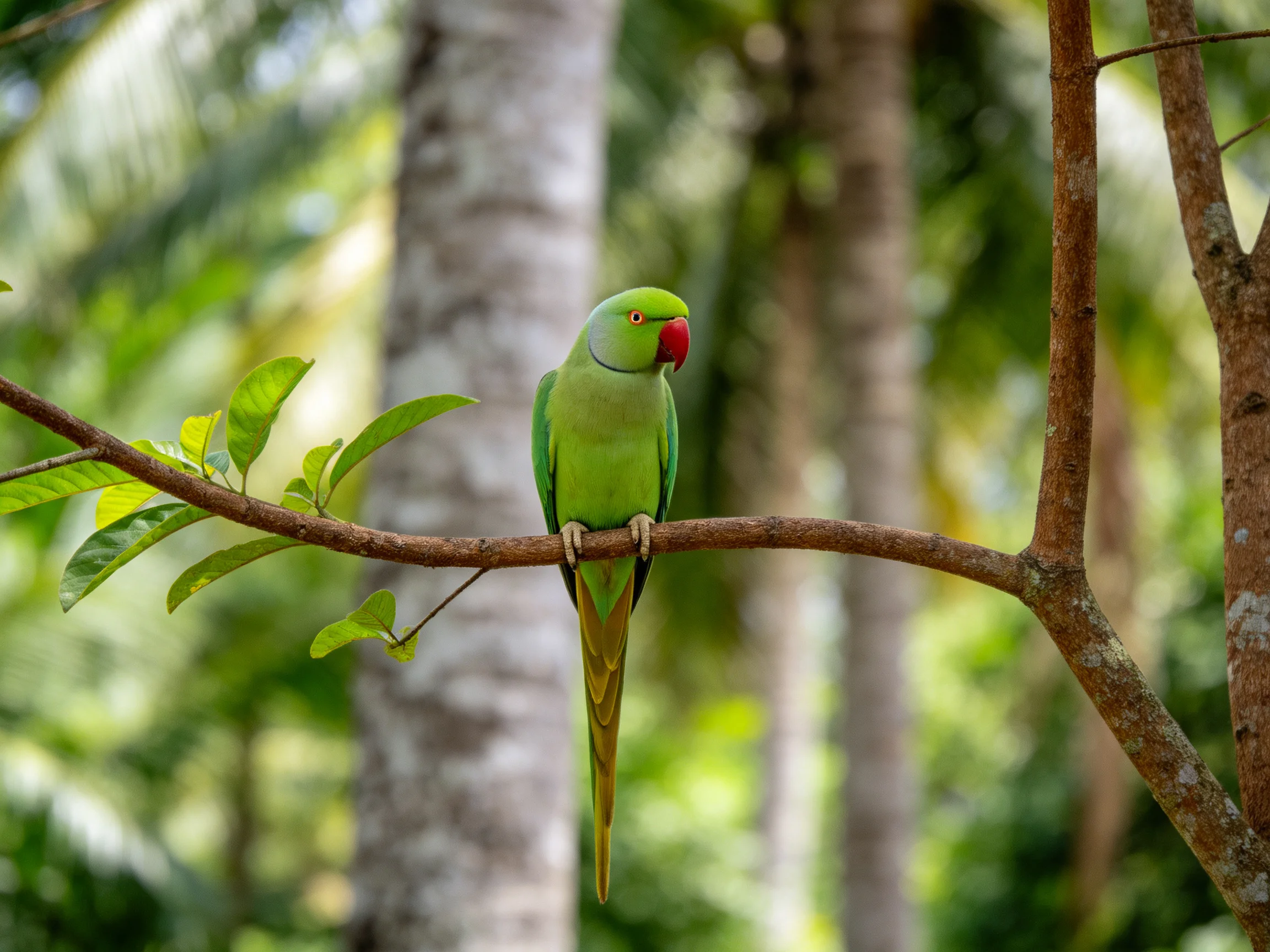 A vibrant green parrot perches on a brown tree branch