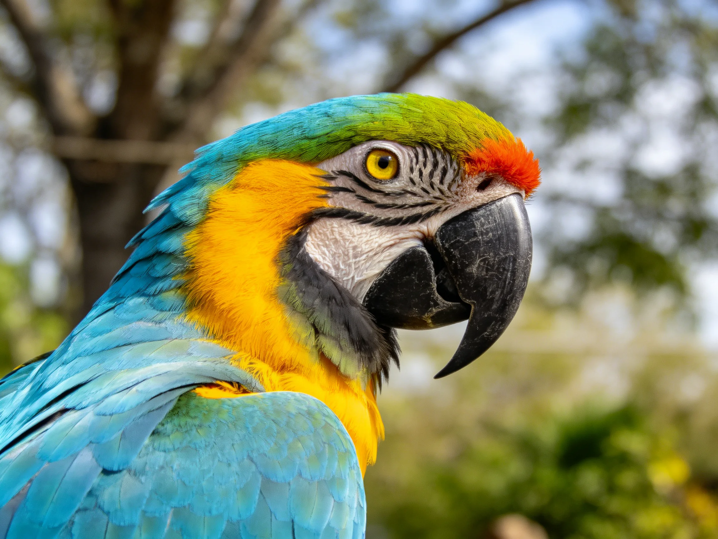 A vibrant macaw with blue, yellow, and green plumage