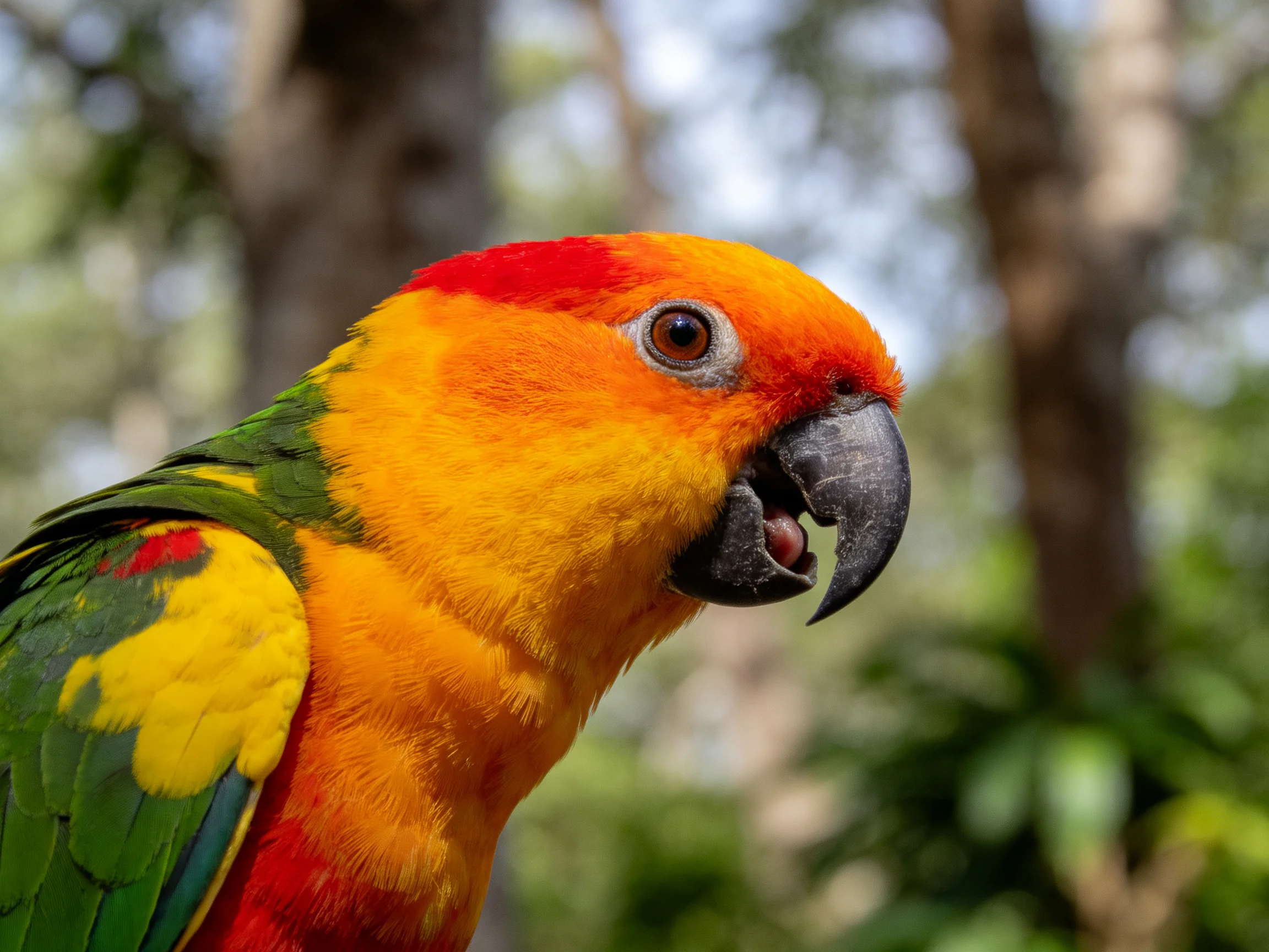 A vibrant parrot with red, orange, and green plumage