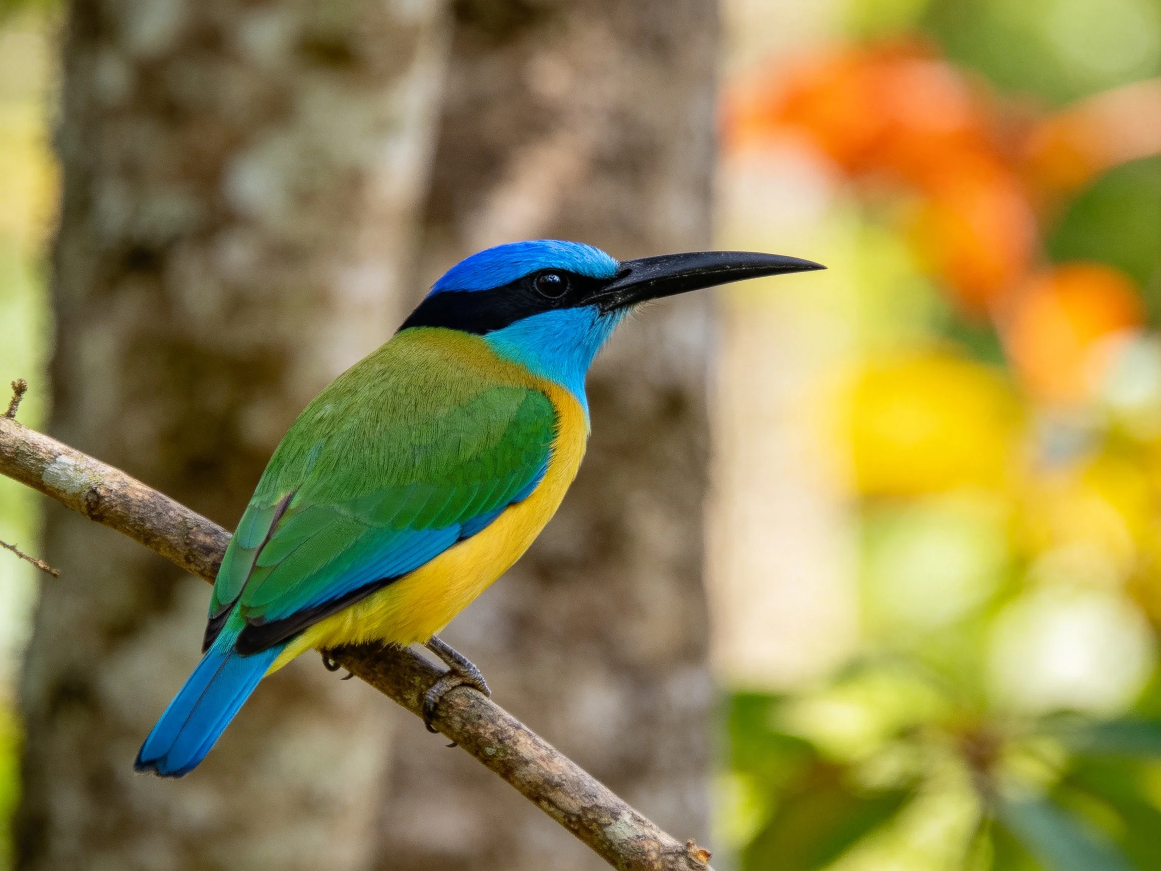 A vibrantly colored bird with blue, green, and yellow plumage perches on a branch