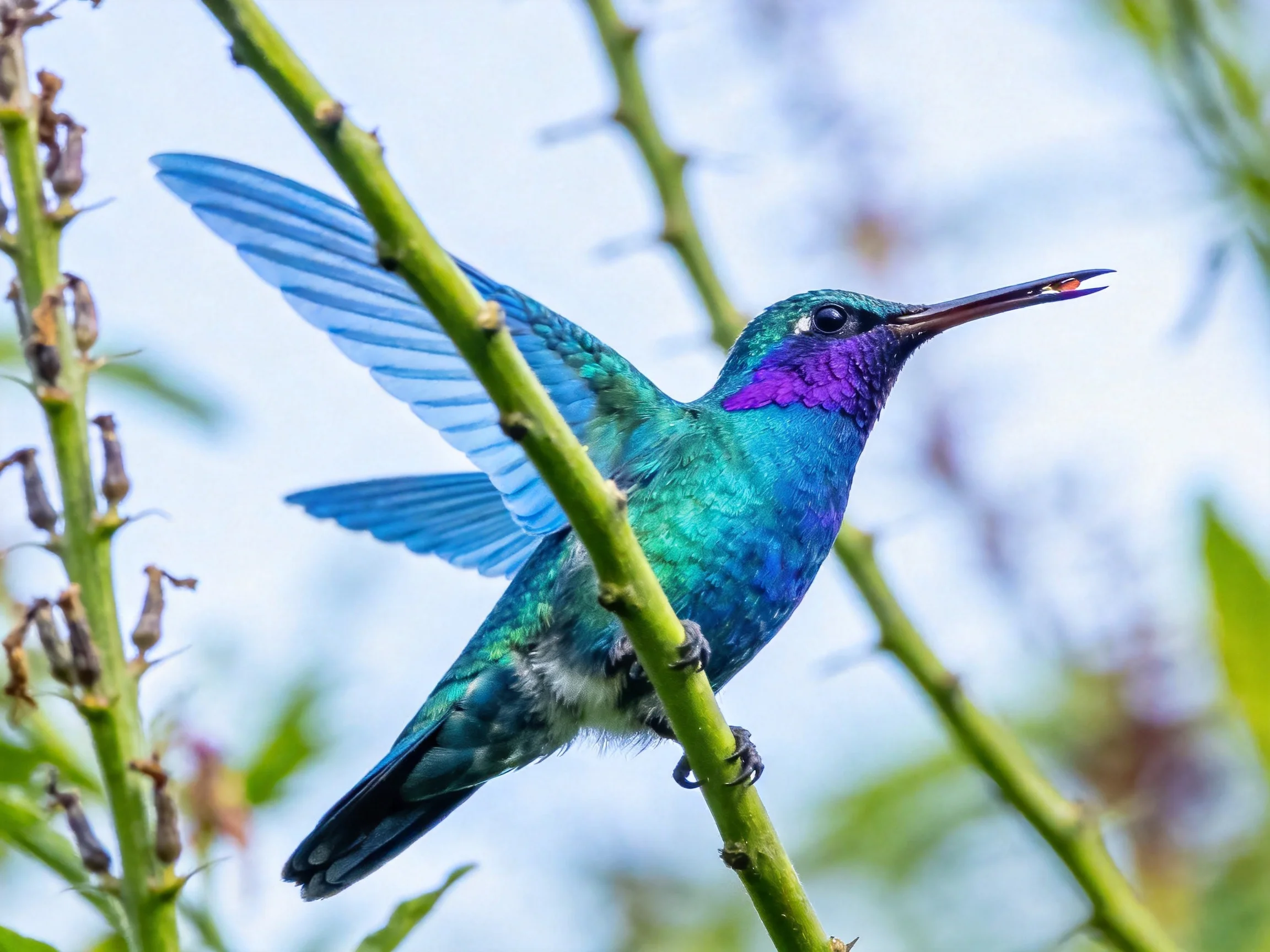 A vibrantly colored hummingbird perches on a green branch