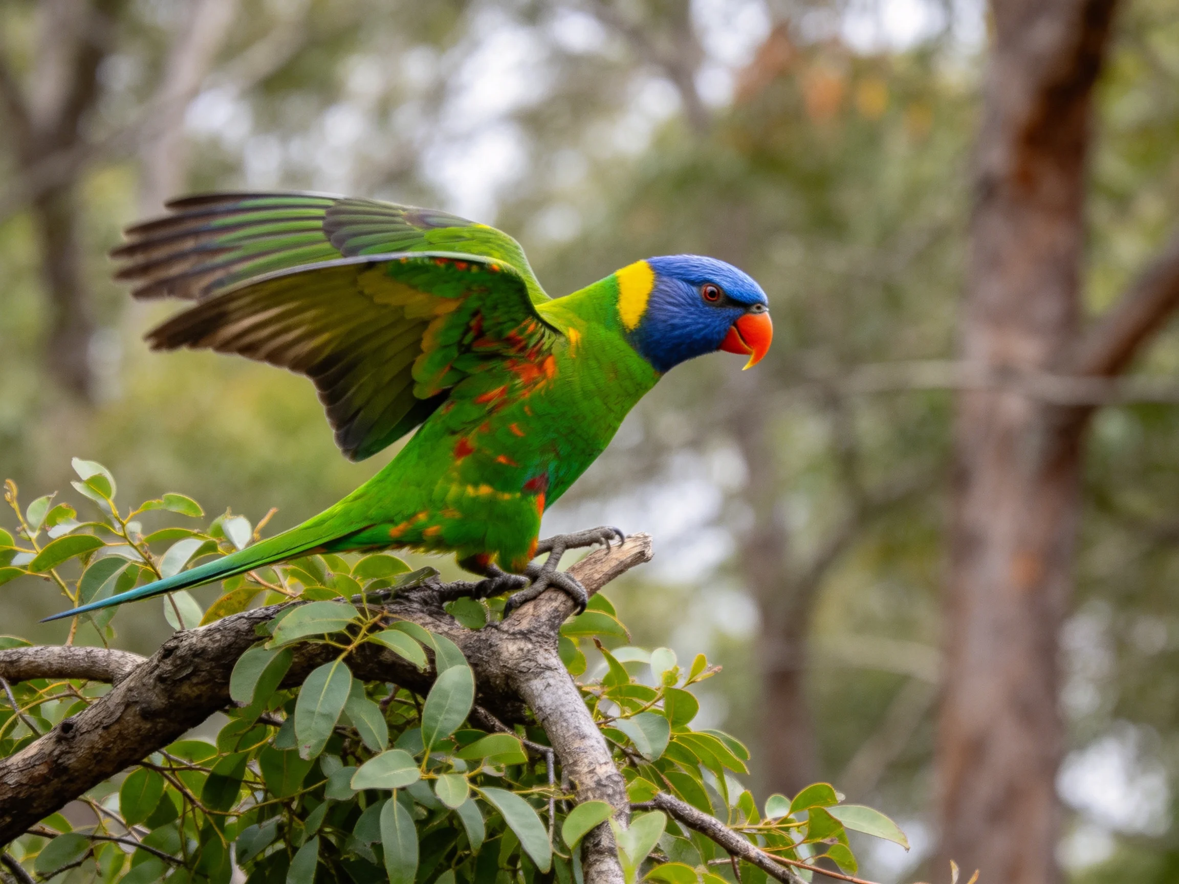 A vibrantly colored parrot perched on a leafy branch