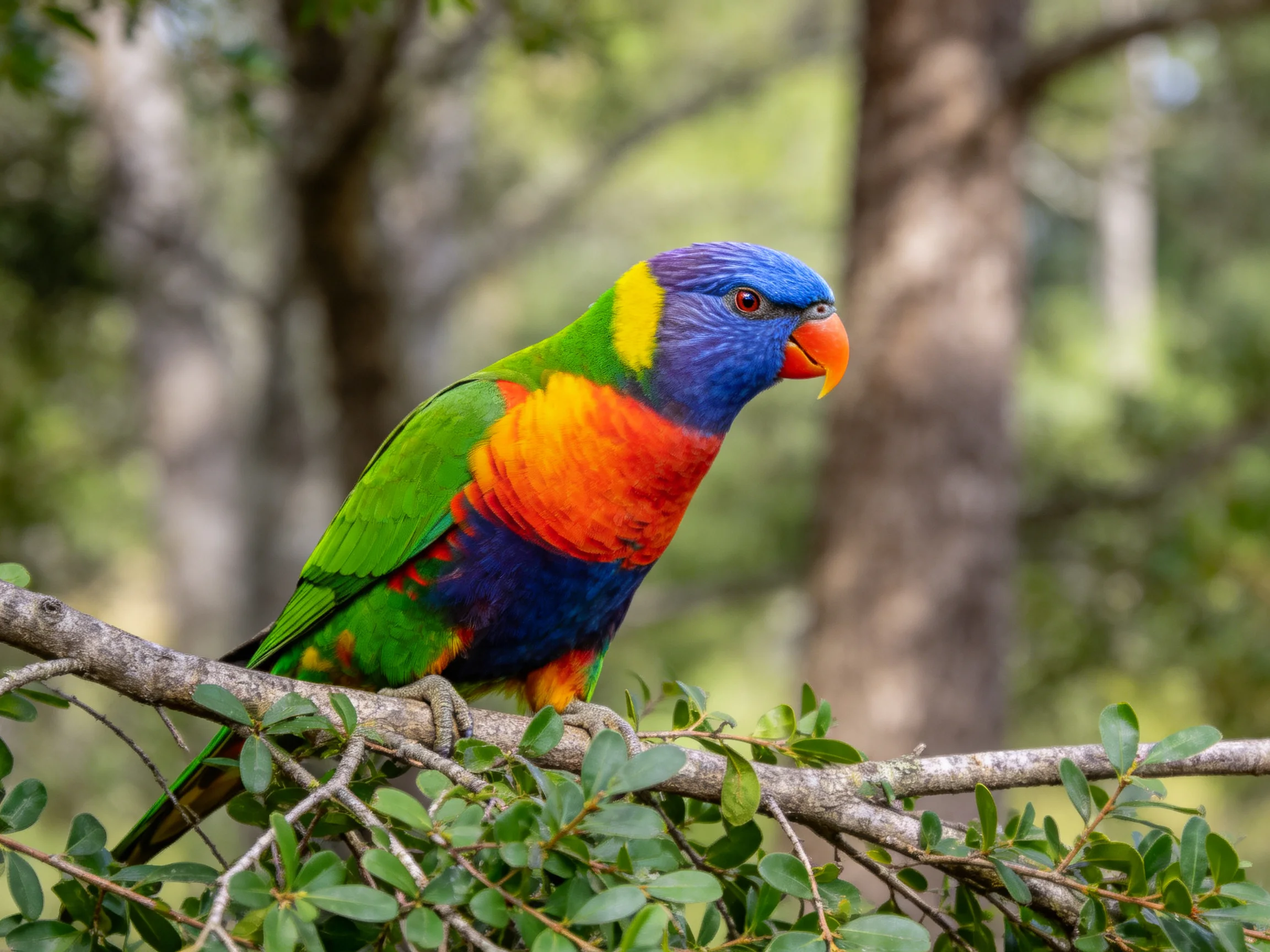 A vibrantly colored parrot perched on a tree branch