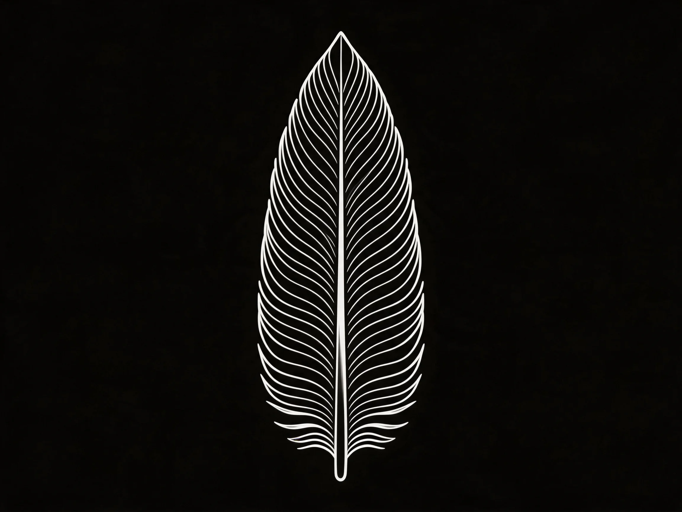 A white feather with intricate vein details on a black background