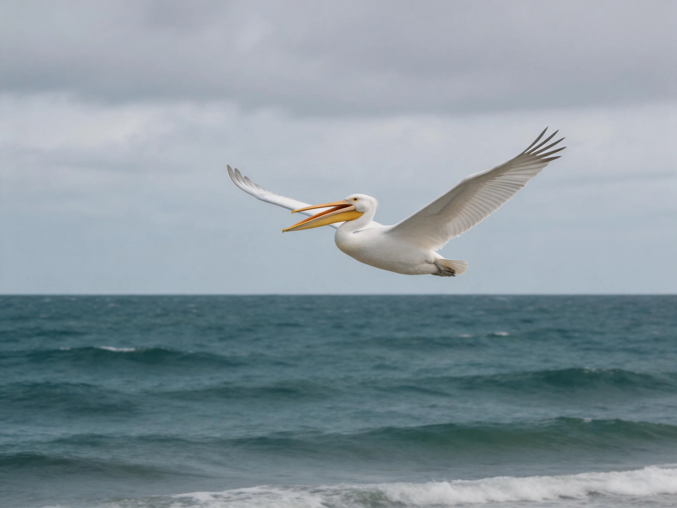 A white pelican soars over the deep blue ocean waves