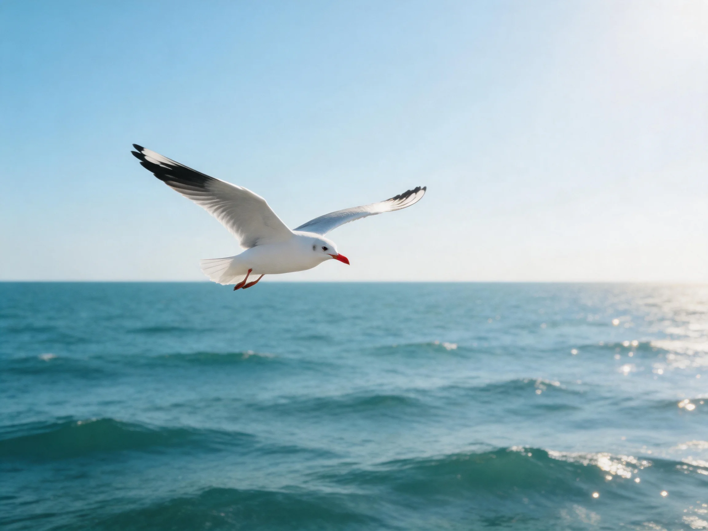 A white seagull flies over blue ocean waters