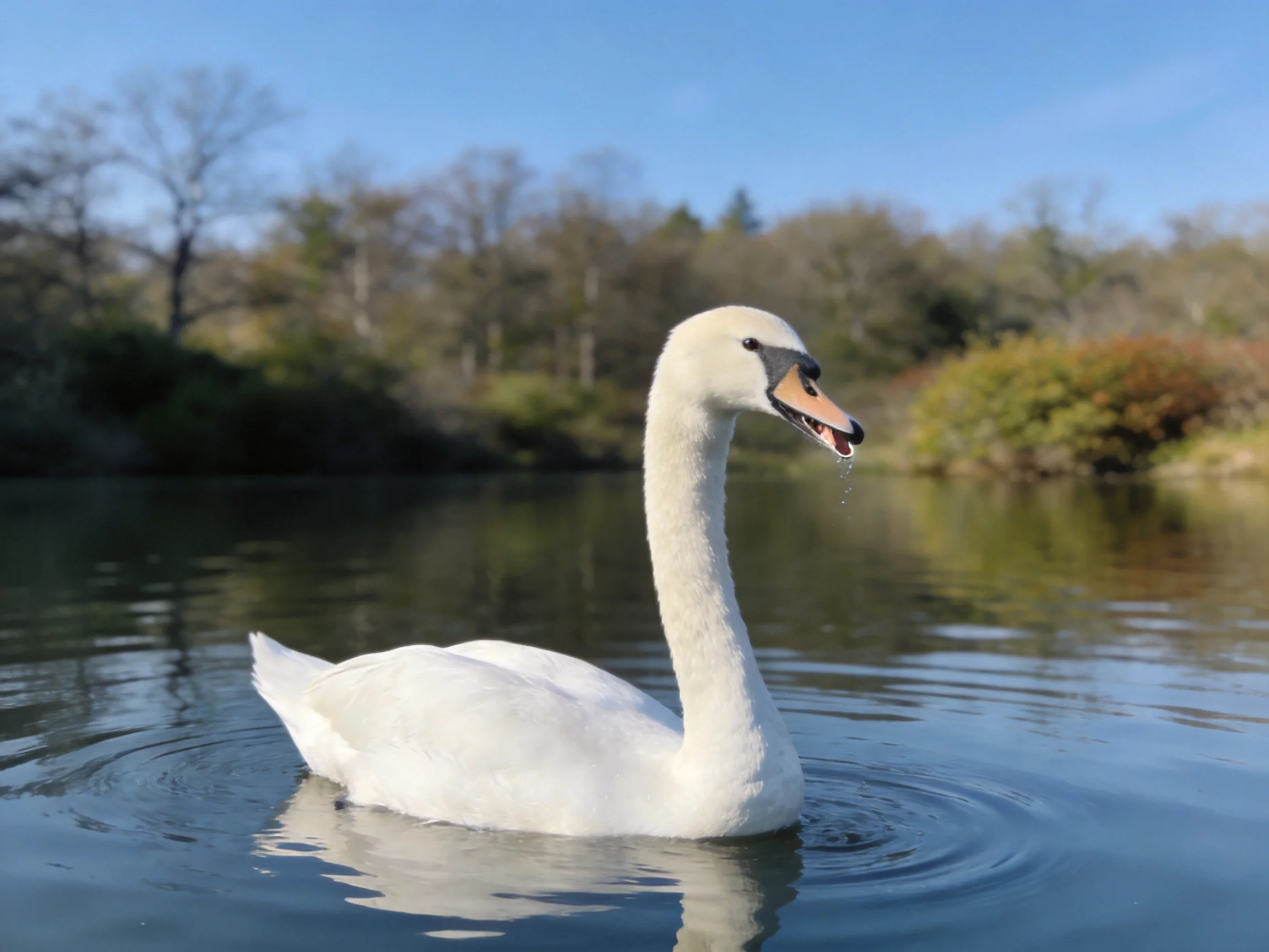 A white swan glides on calm blue water near green foliage