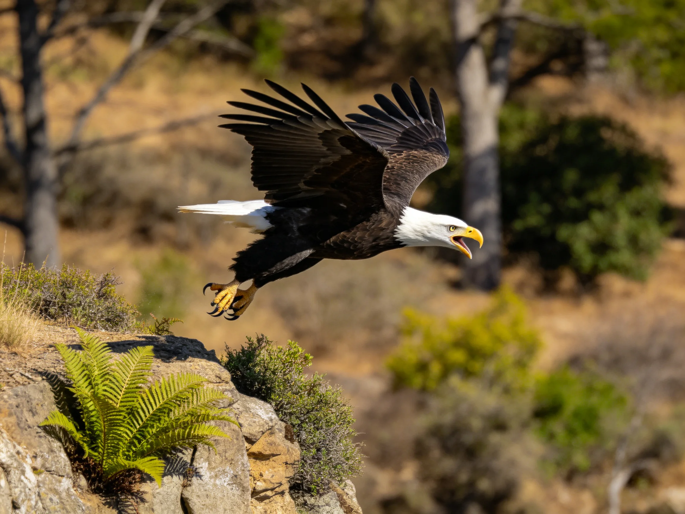 Bald eagle soaring over rocky cliffside with lush vegetation