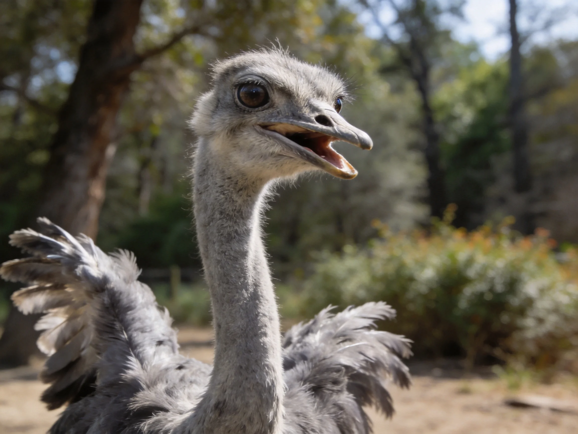 Gray-feathered ostrich with open beak near trees