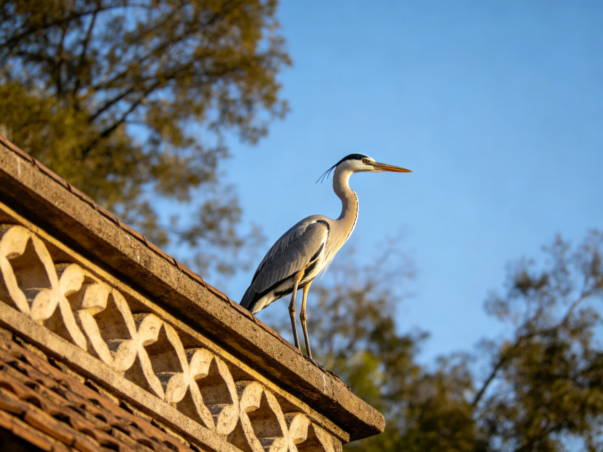 Gray heron perched on ornate stone ledge with decorative carvings