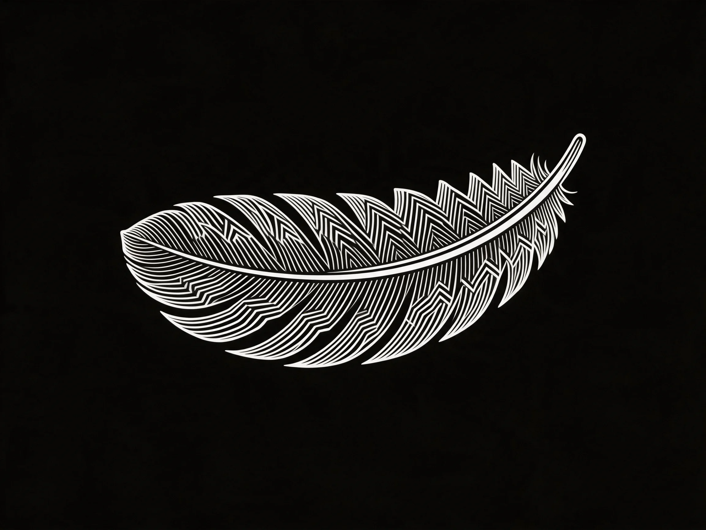 Intricately patterned white feather illustration on solid black background