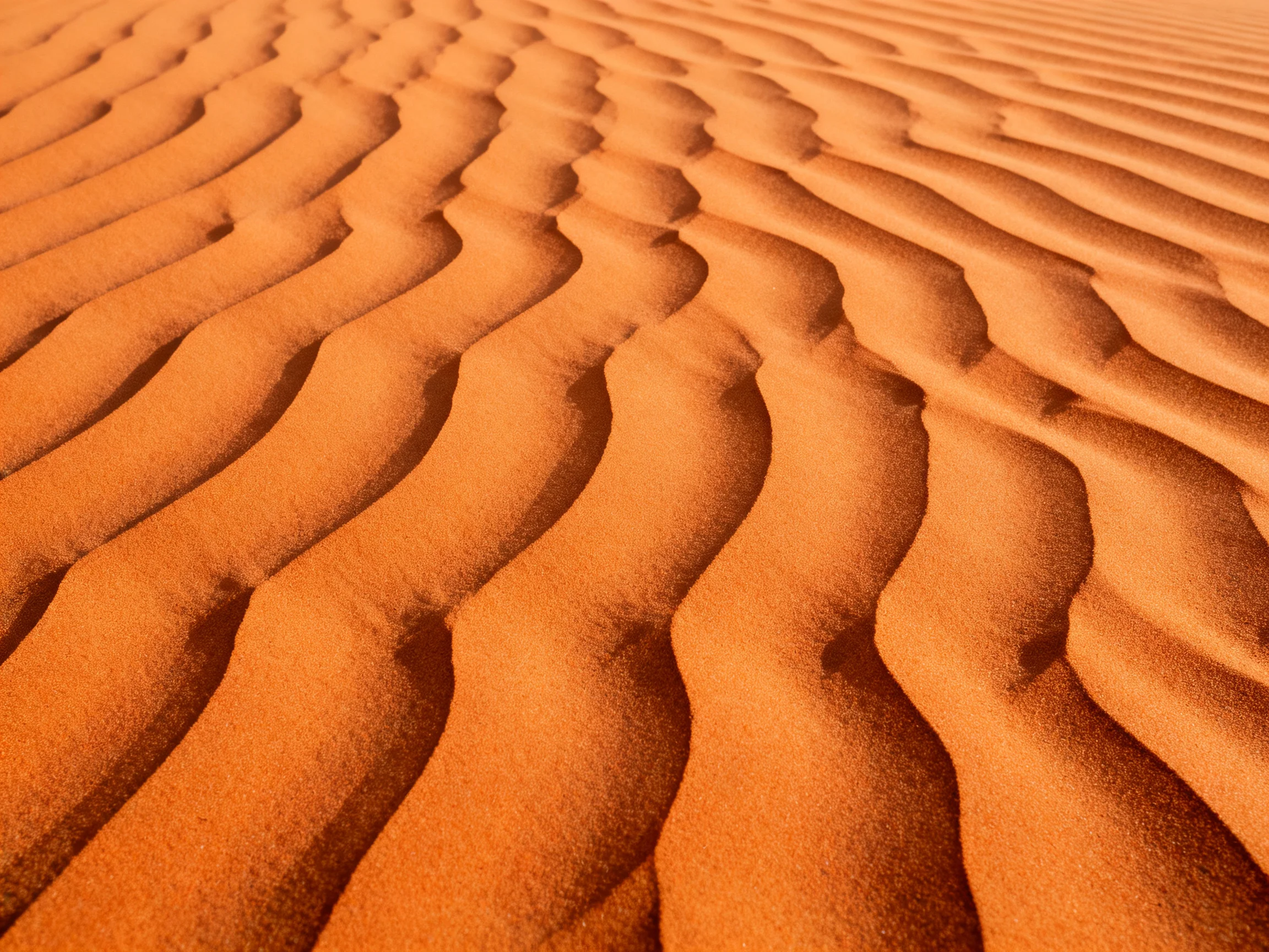 Rippled orange sand dunes with smoothwave-like patterns