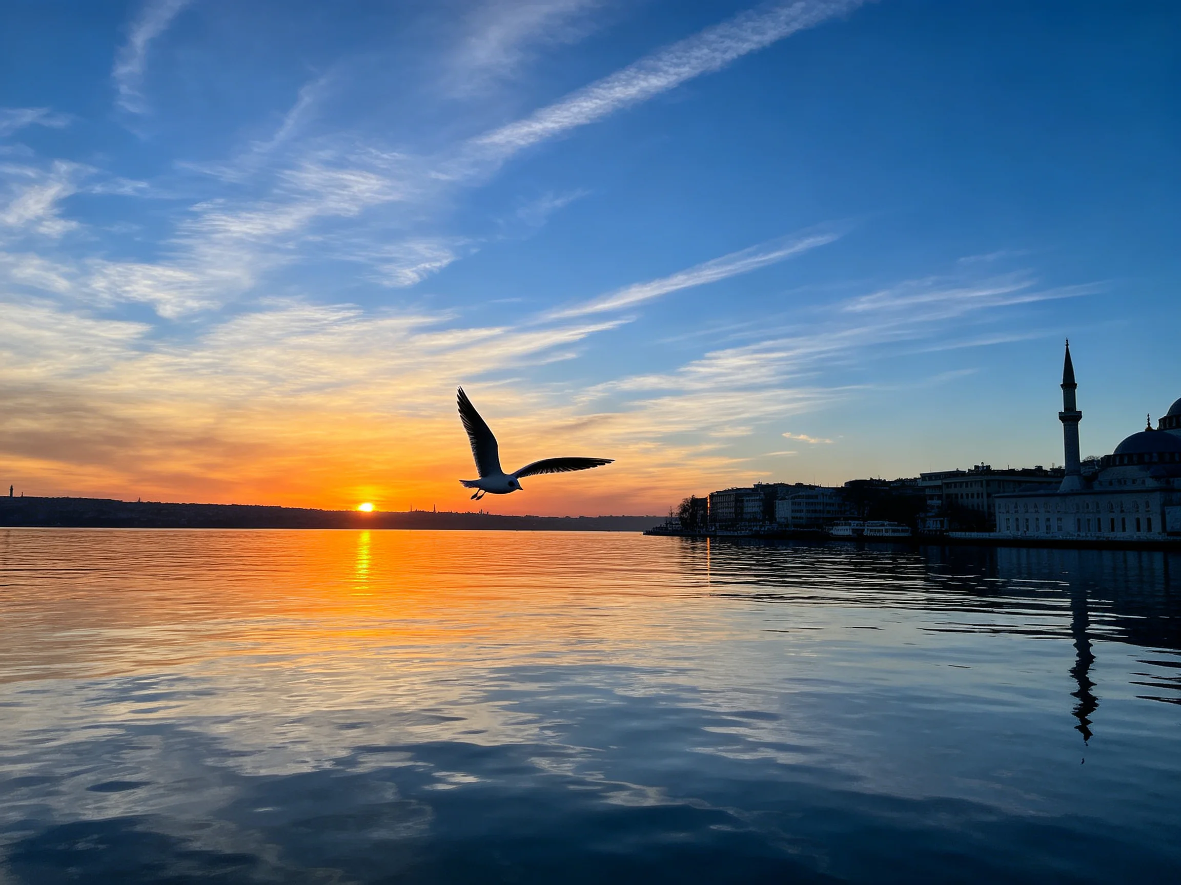 Seagull flying over calm waters at golden sunset beside historic structures