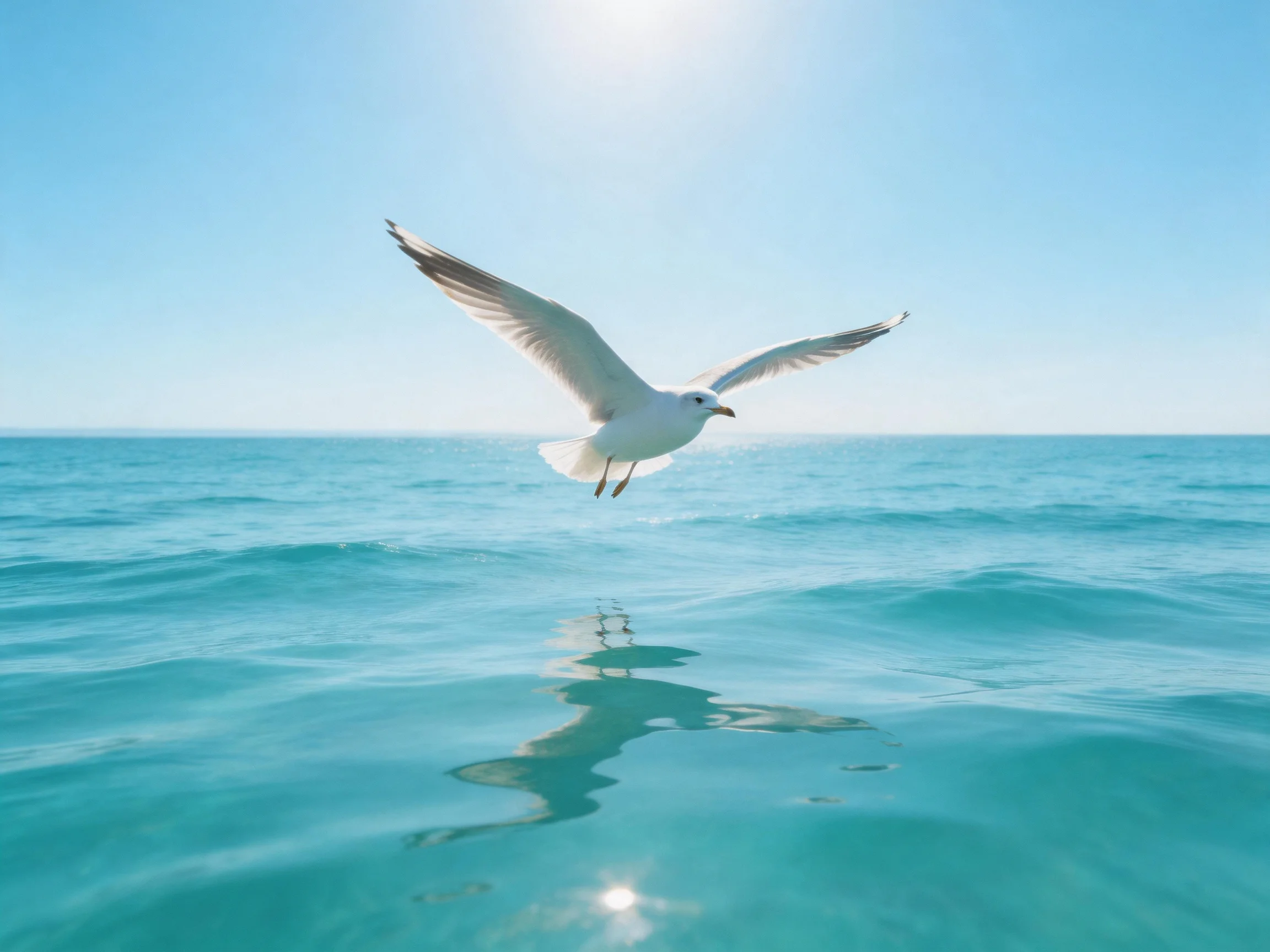 Seagull soaring over turquoise ocean waves under bright blue sky