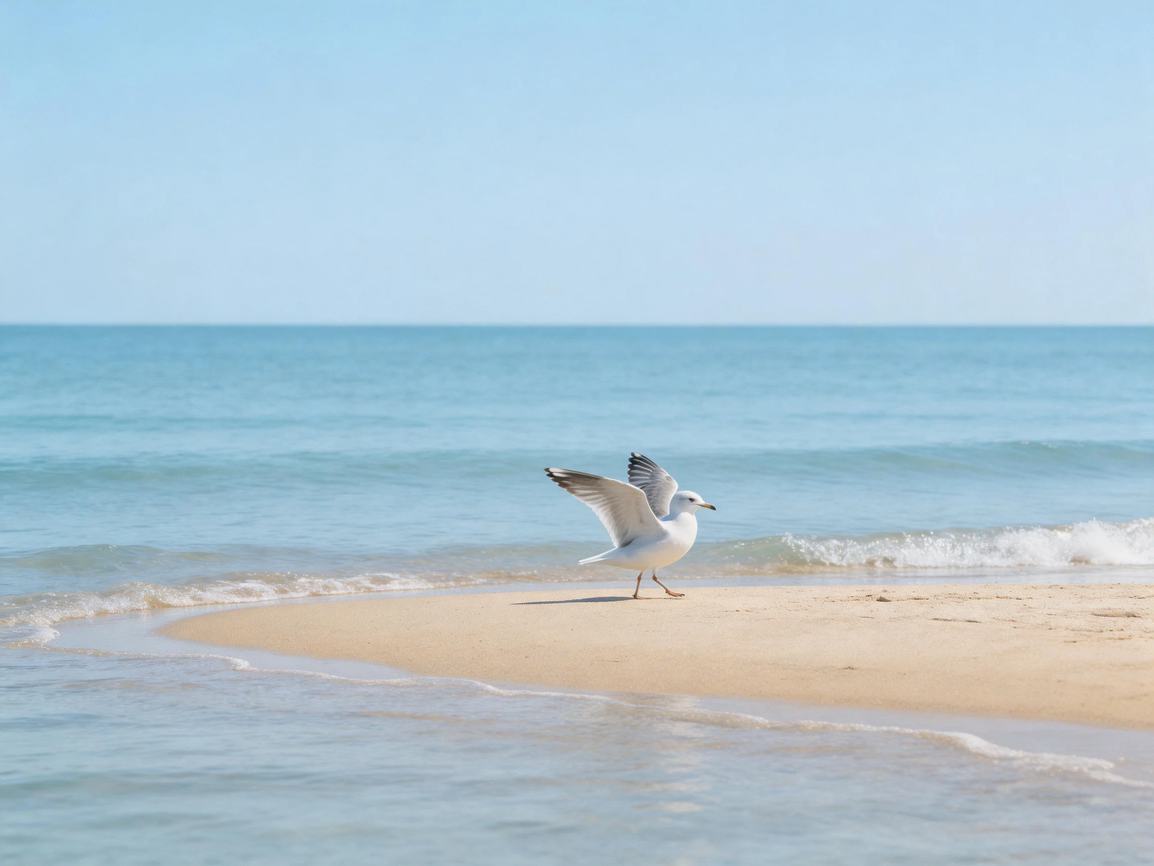 Seagull spreading wings on a sandy beach by tranquil blue sea