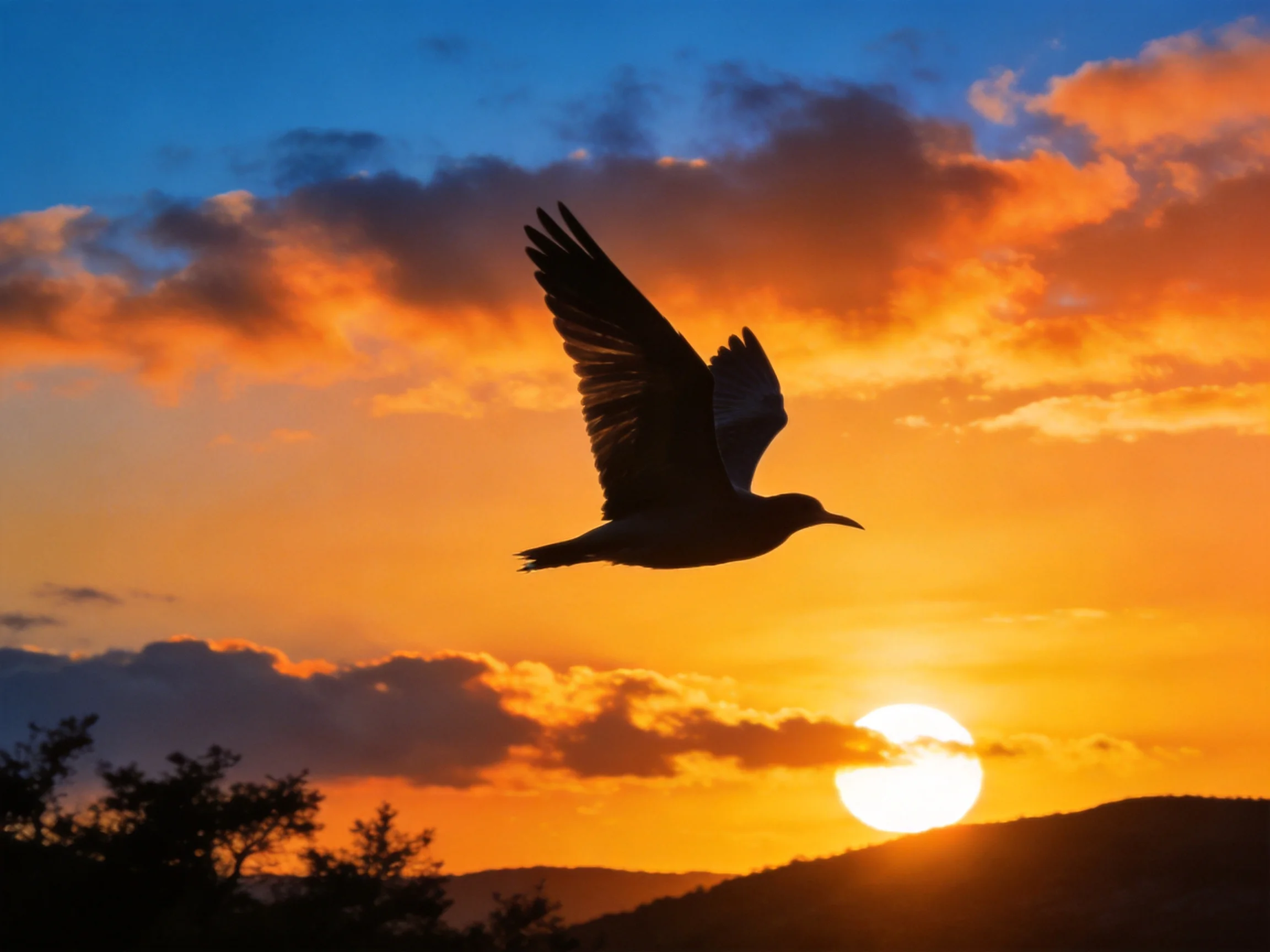 Silhouetted bird soaring through vibrant sunset sky