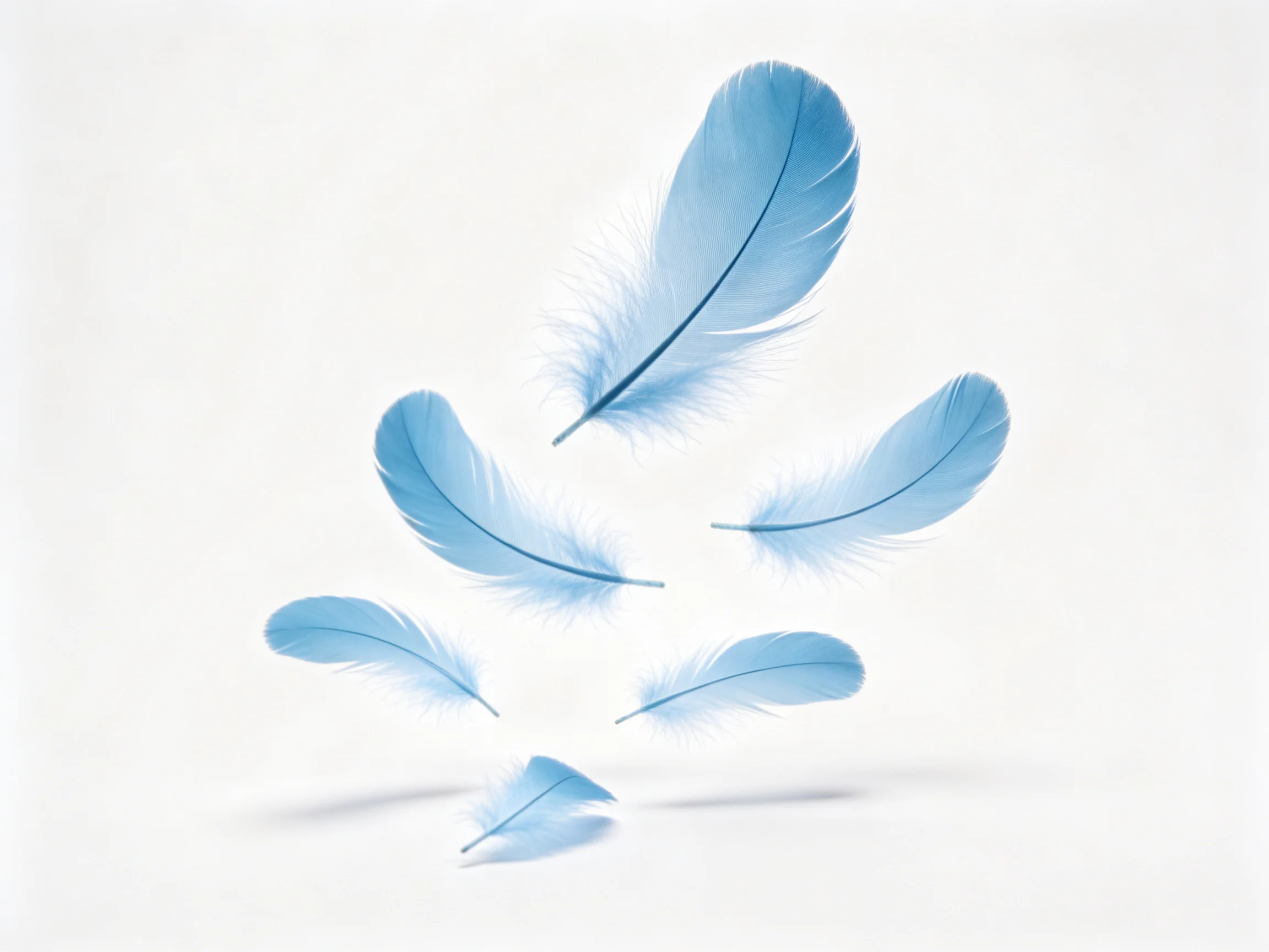 Six light blue feathers suspended in mid-air on a white backdrop