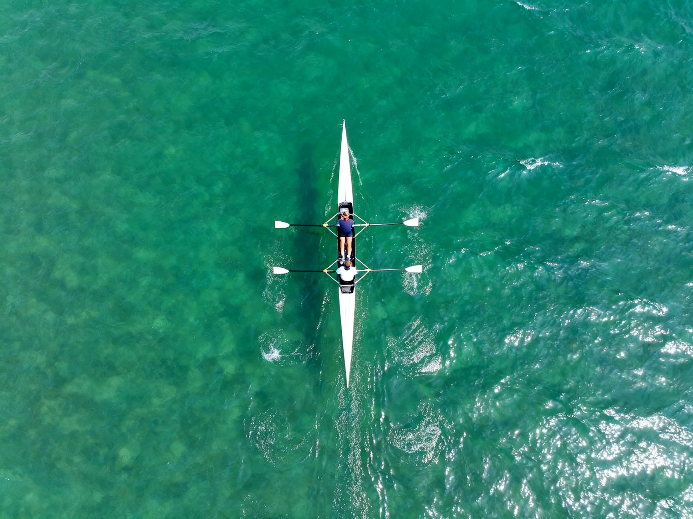 Two people rowing a sleek white boat in vibrant turquoise waters