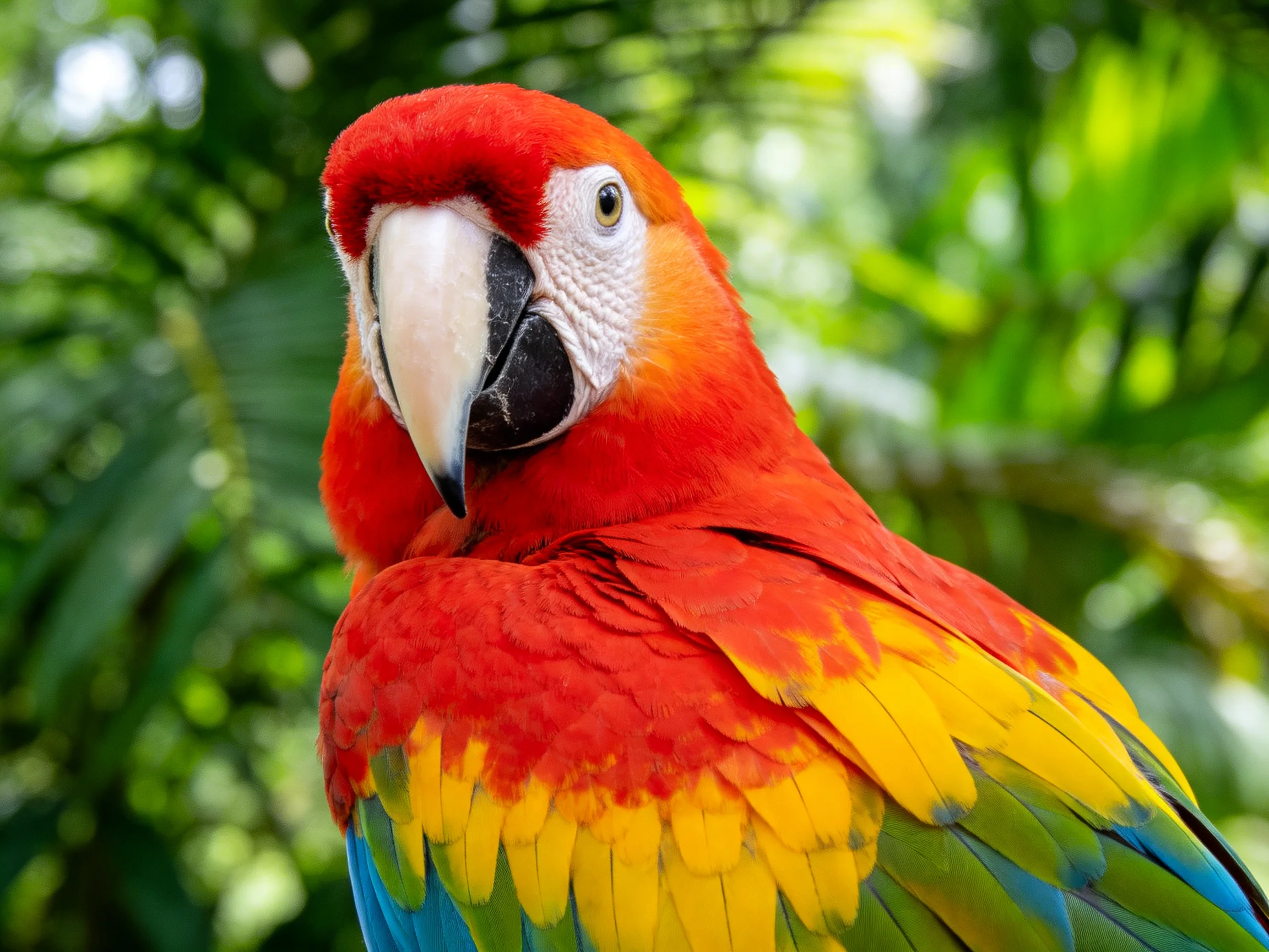 Vibrant Scarlet Macaw with Colorful Plumage Against Lush Greenery