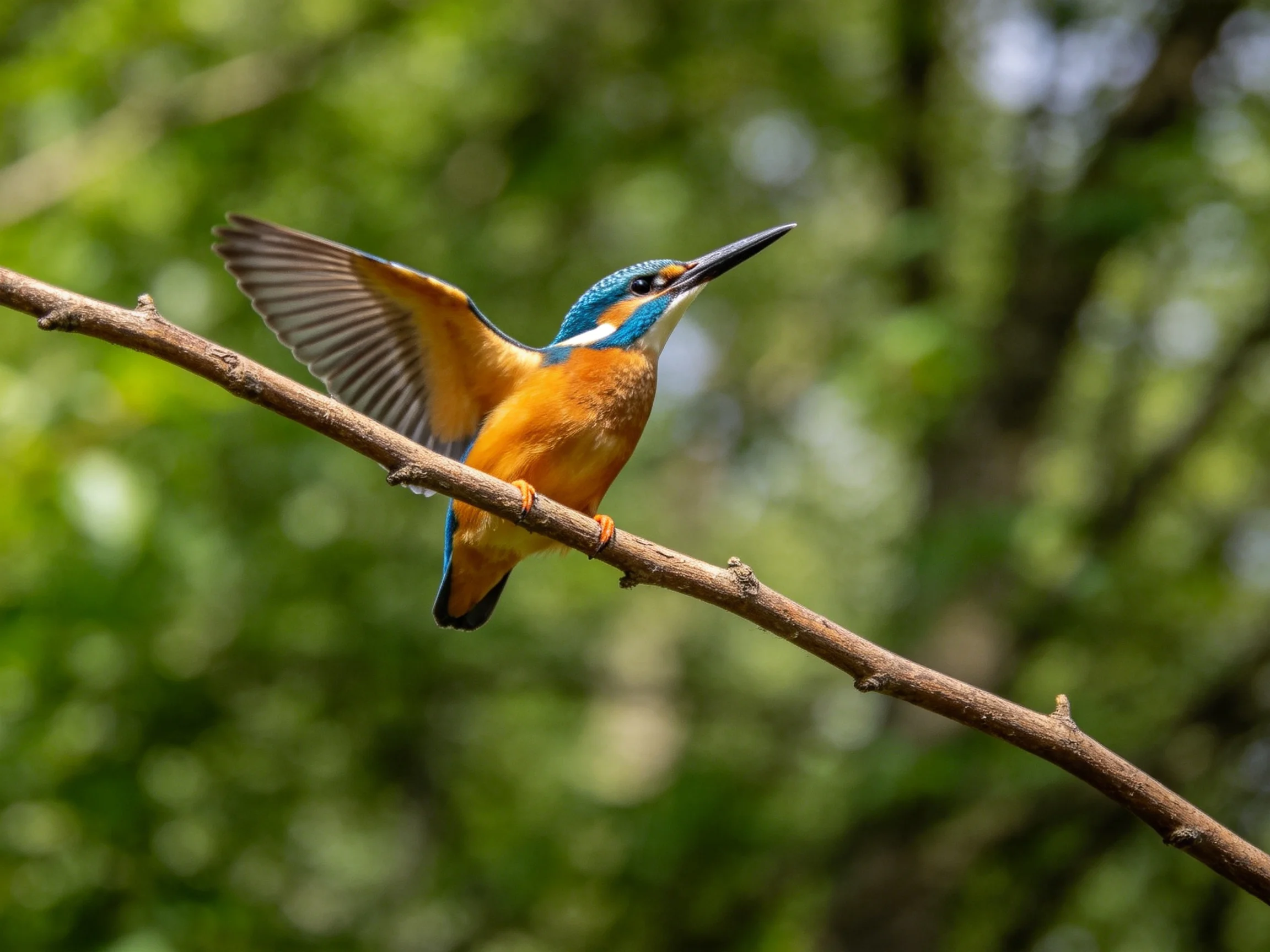 Vibrant kingfisher perched on slender branch
