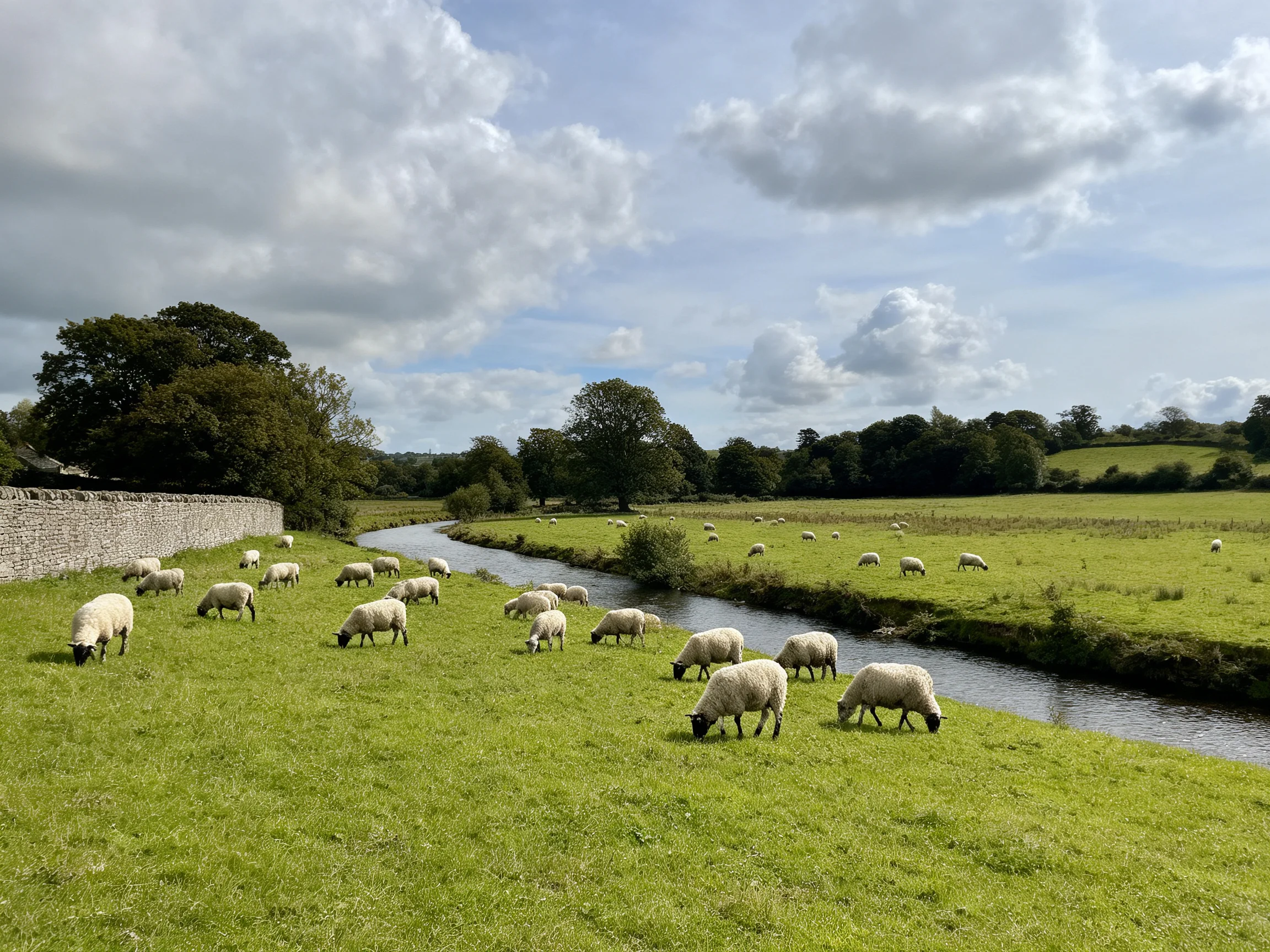 A flock of sheep graze near a winding stream in verdant pastures