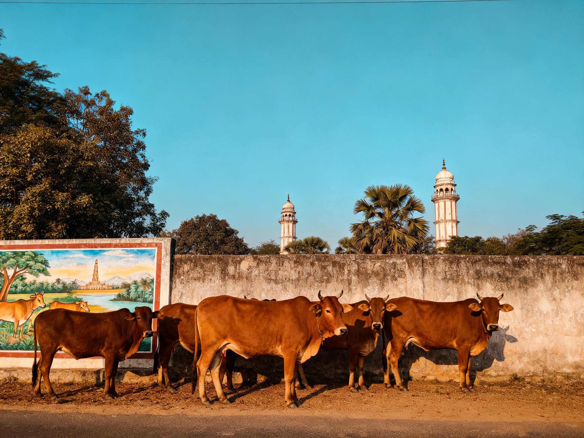 Six brown cattle near a mural beside an old stone wall with minarets