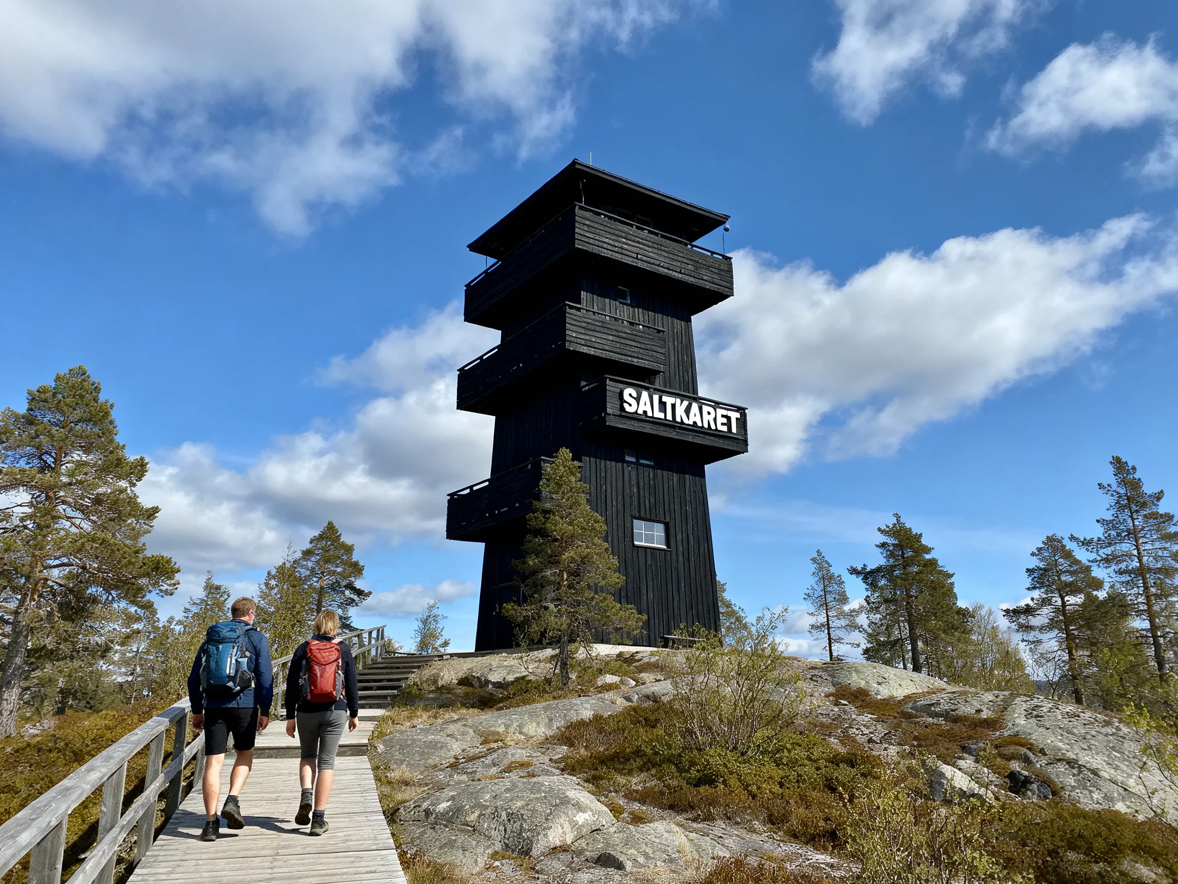 A black observation tower named Saltkaret near pine forests with hikers