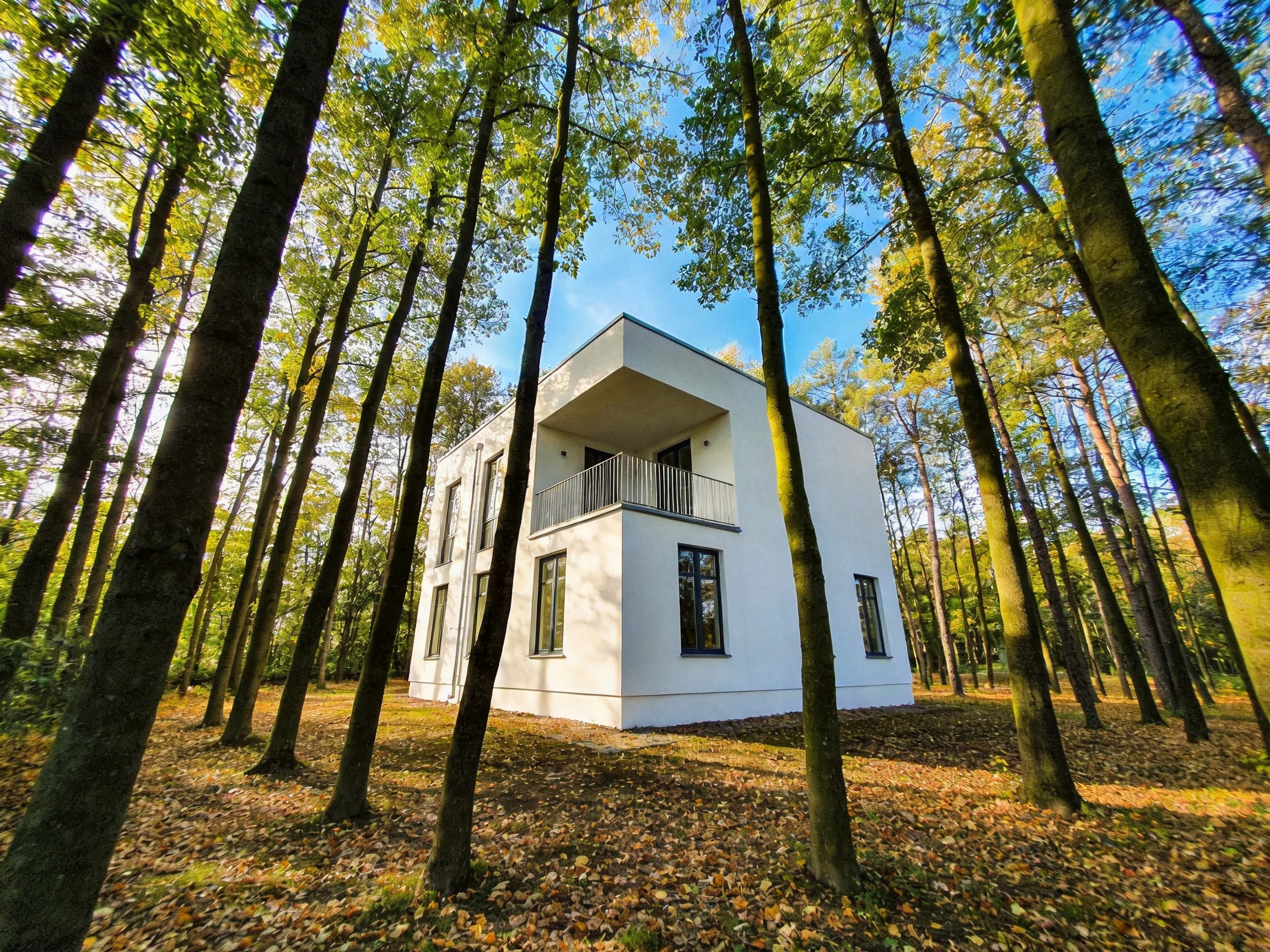 A modern white house nestled among tall green forest trees with fallen leaves