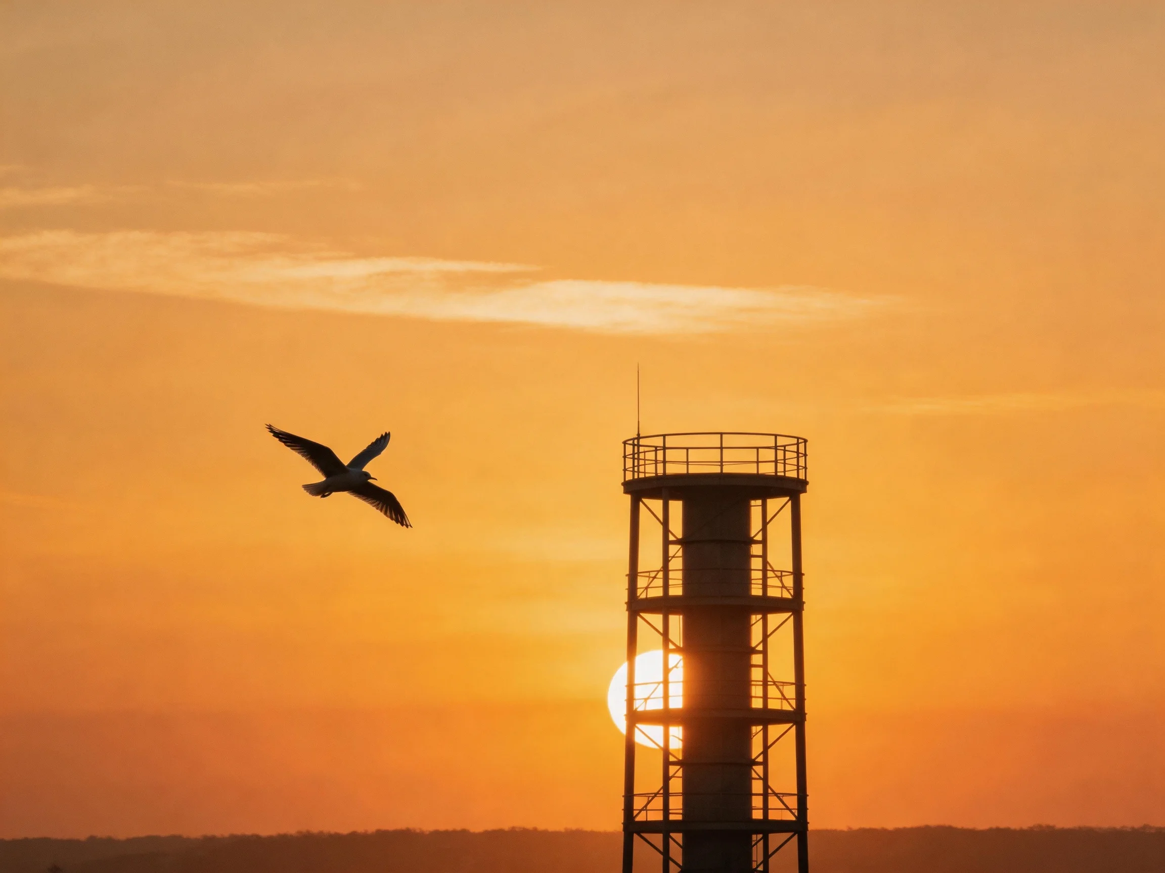 A seagull flies beside a metal tower during golden sunset