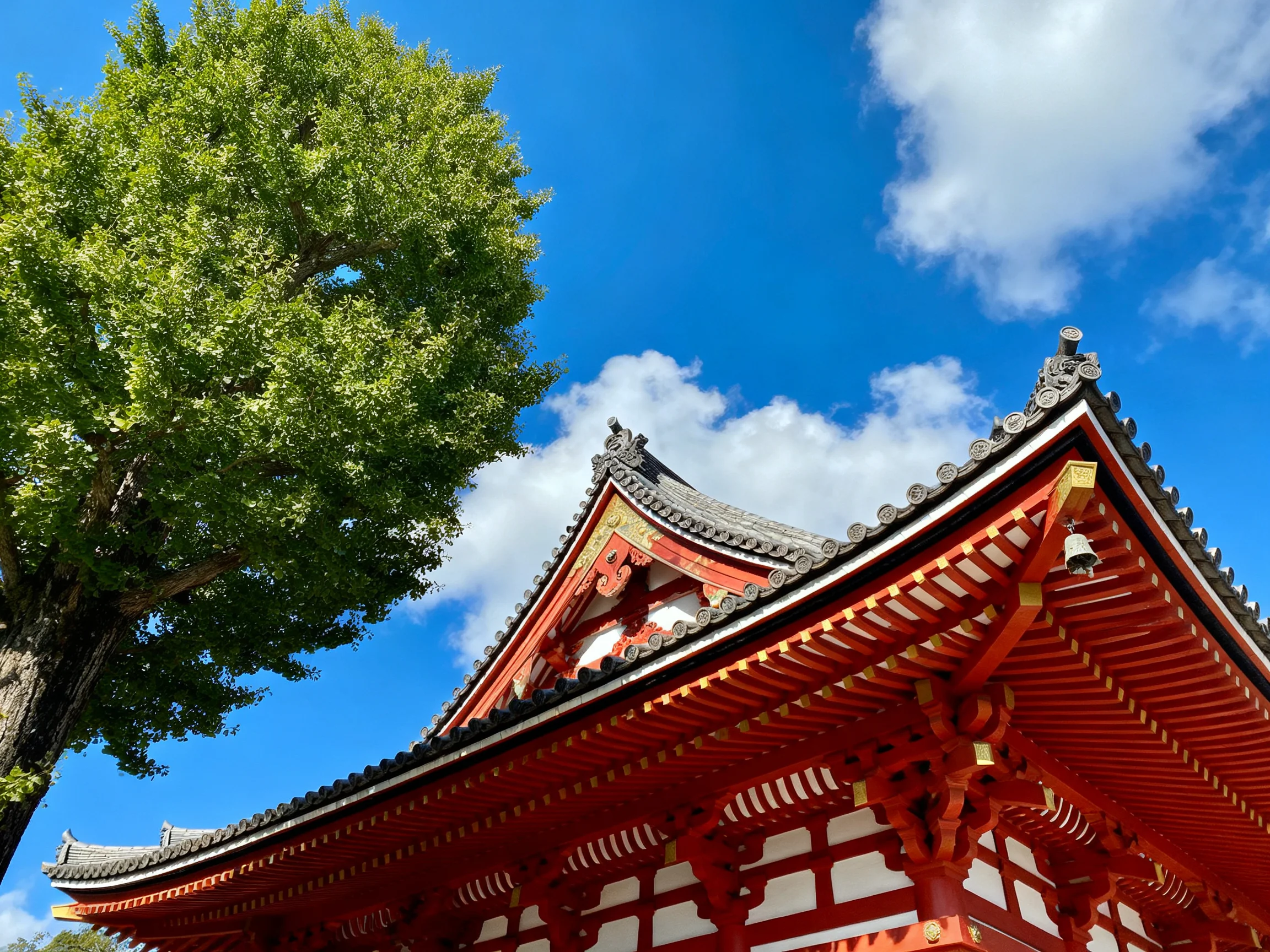 A vibrant red temple roof beside a lush green tree under bright blue sky