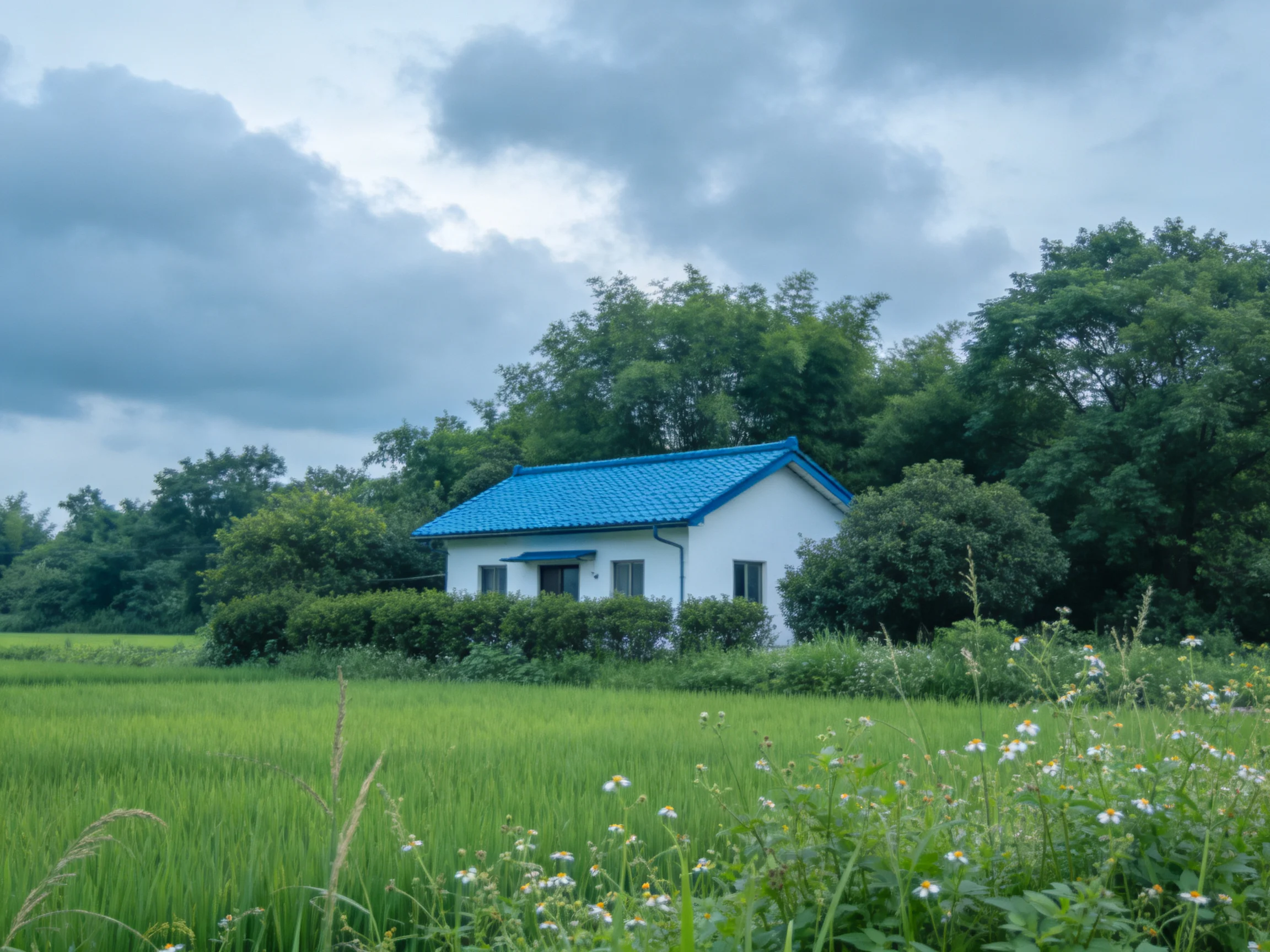 A white cottage with blue roof amid greenery and open fields