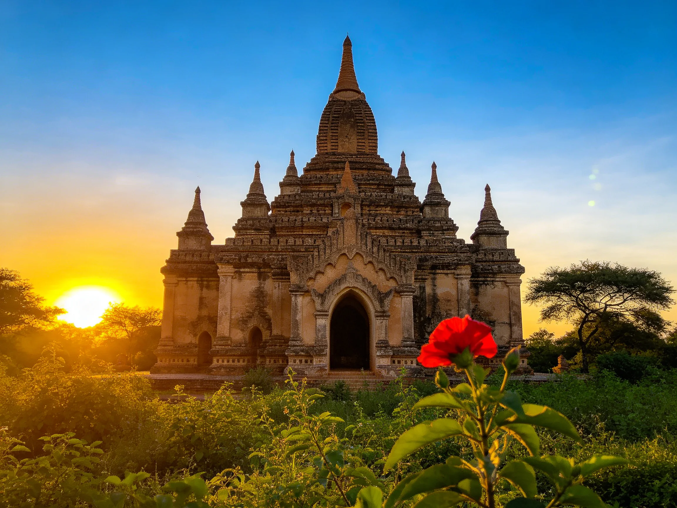 Ancient Temple Illuminated by Warm Sunset with Vibrant Flower