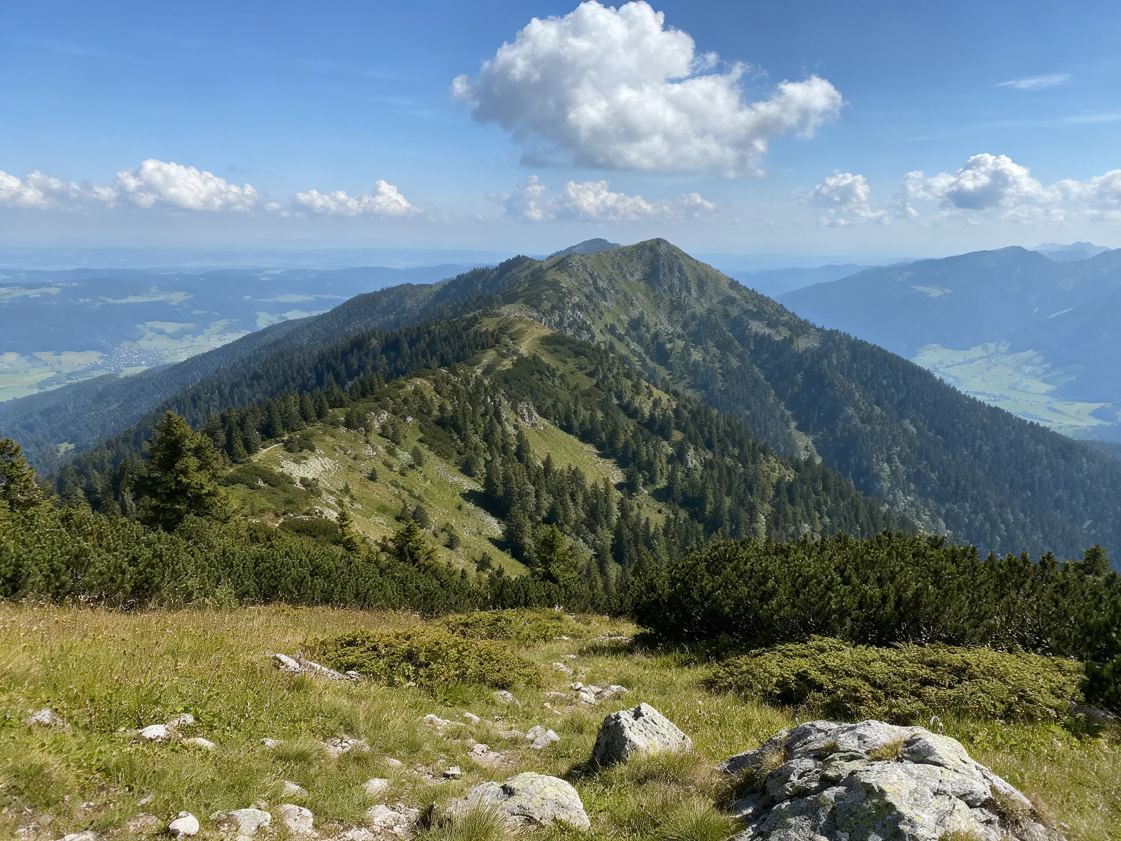 Lush Mountain Ridge with Dense Forests and Scenic Valleys